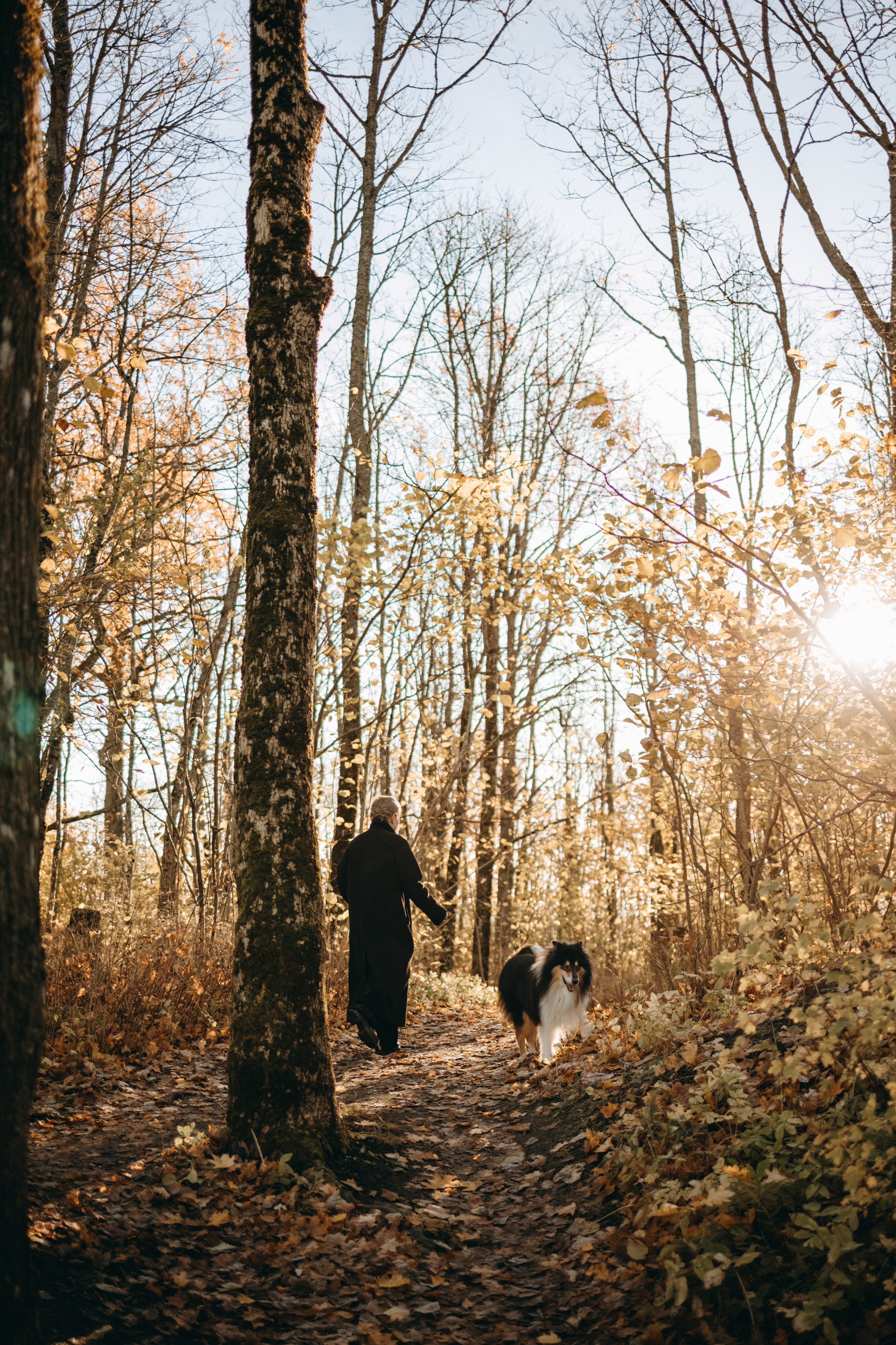 Ия и Барт. Фотограф — Анималист | Санкт-Петербург