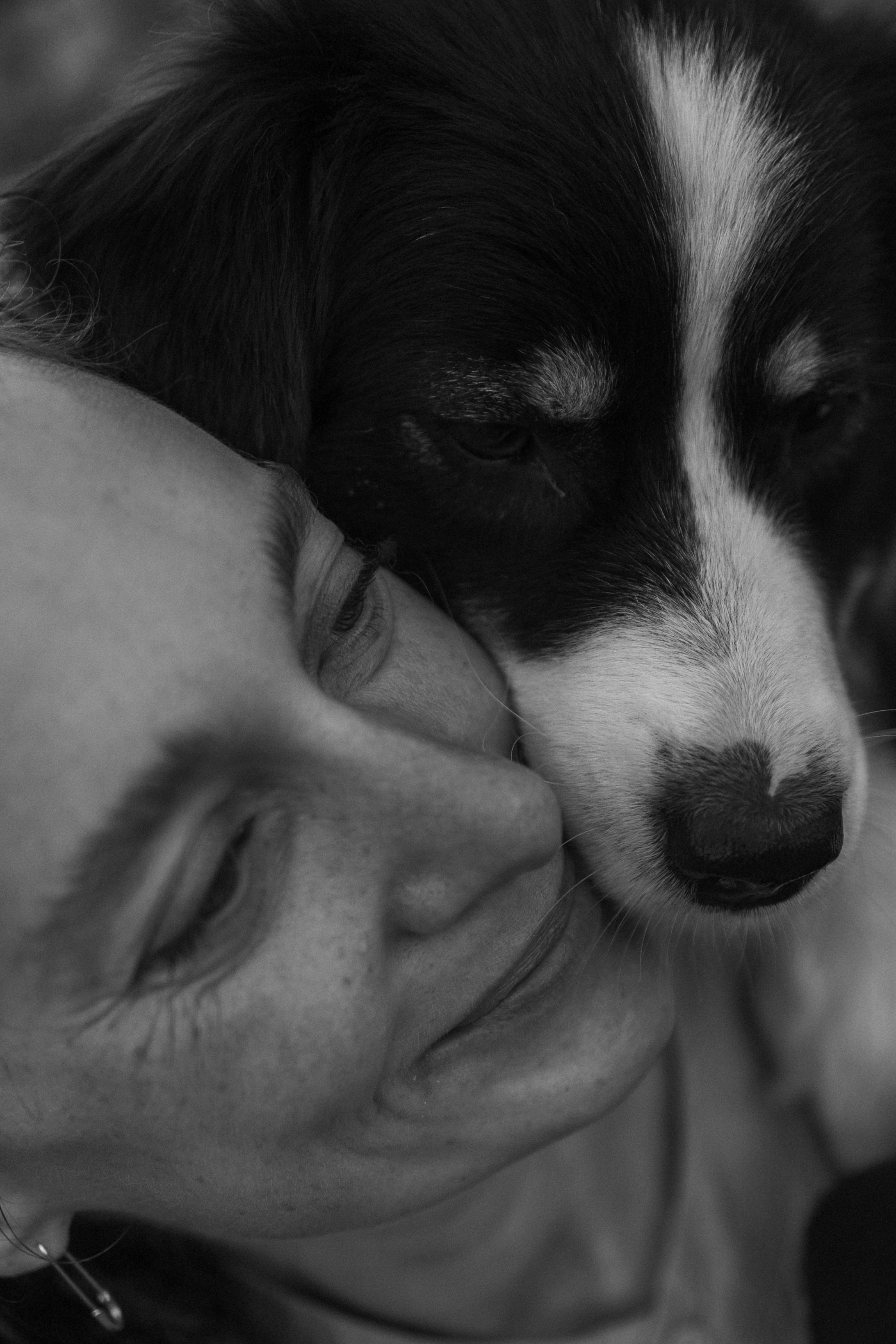 Катя и ее девочки. Фотограф — Анималист | Санкт-Петербург