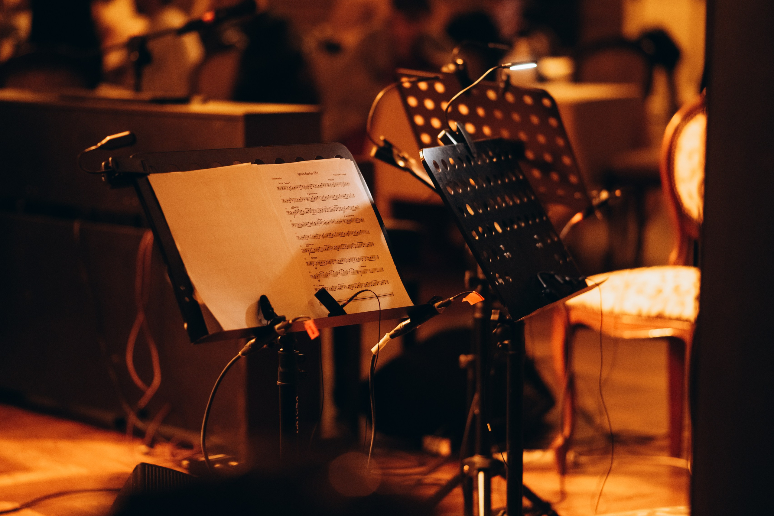 Фестиваль музыки Signon Open Air Fest