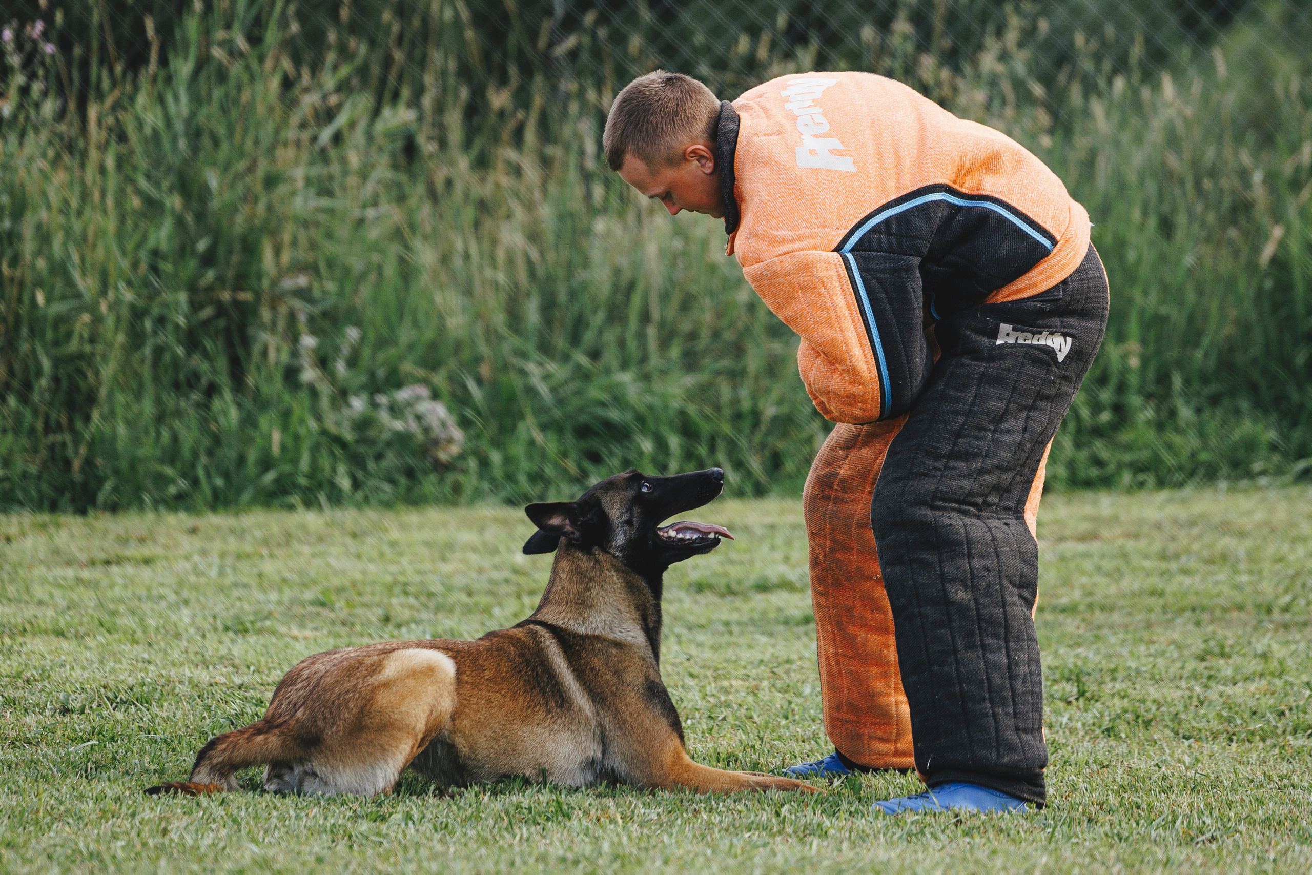 08.08.25-10.08.25 ЧР по мондьорингу г. Вологда. Фотограф-анималист Анна Маринич