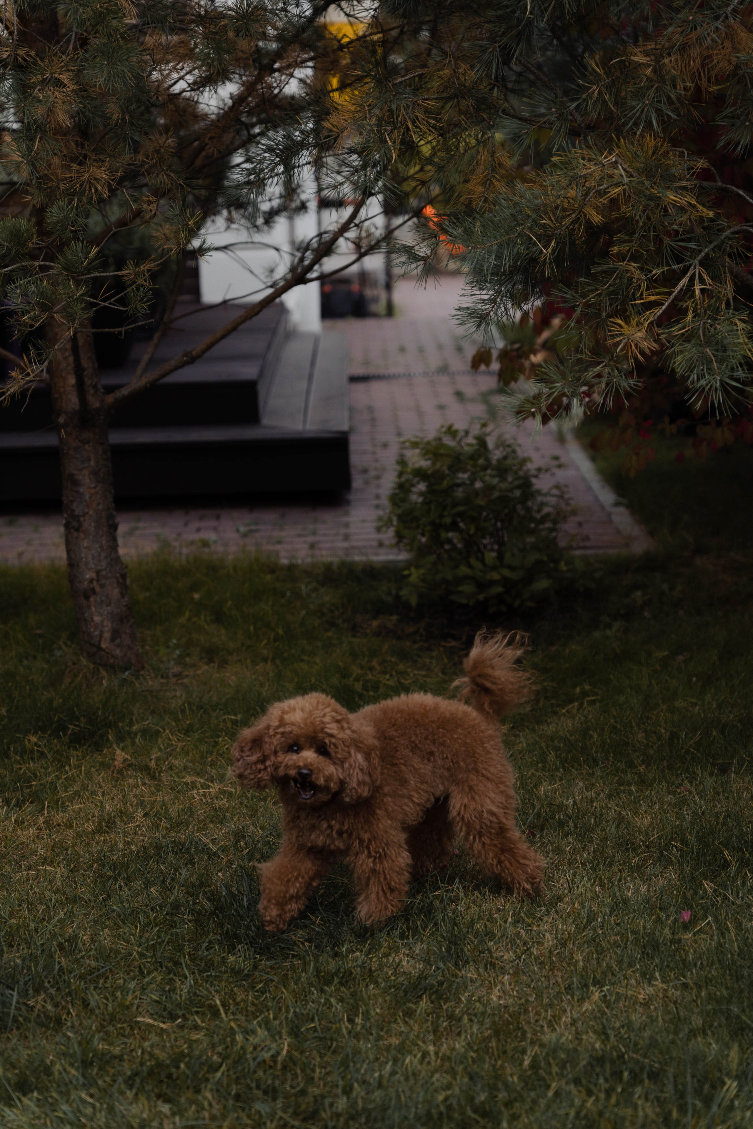 Семейные истории. ФОТОГРАФ КСЕНИЯ СОСНОВСКАЯ