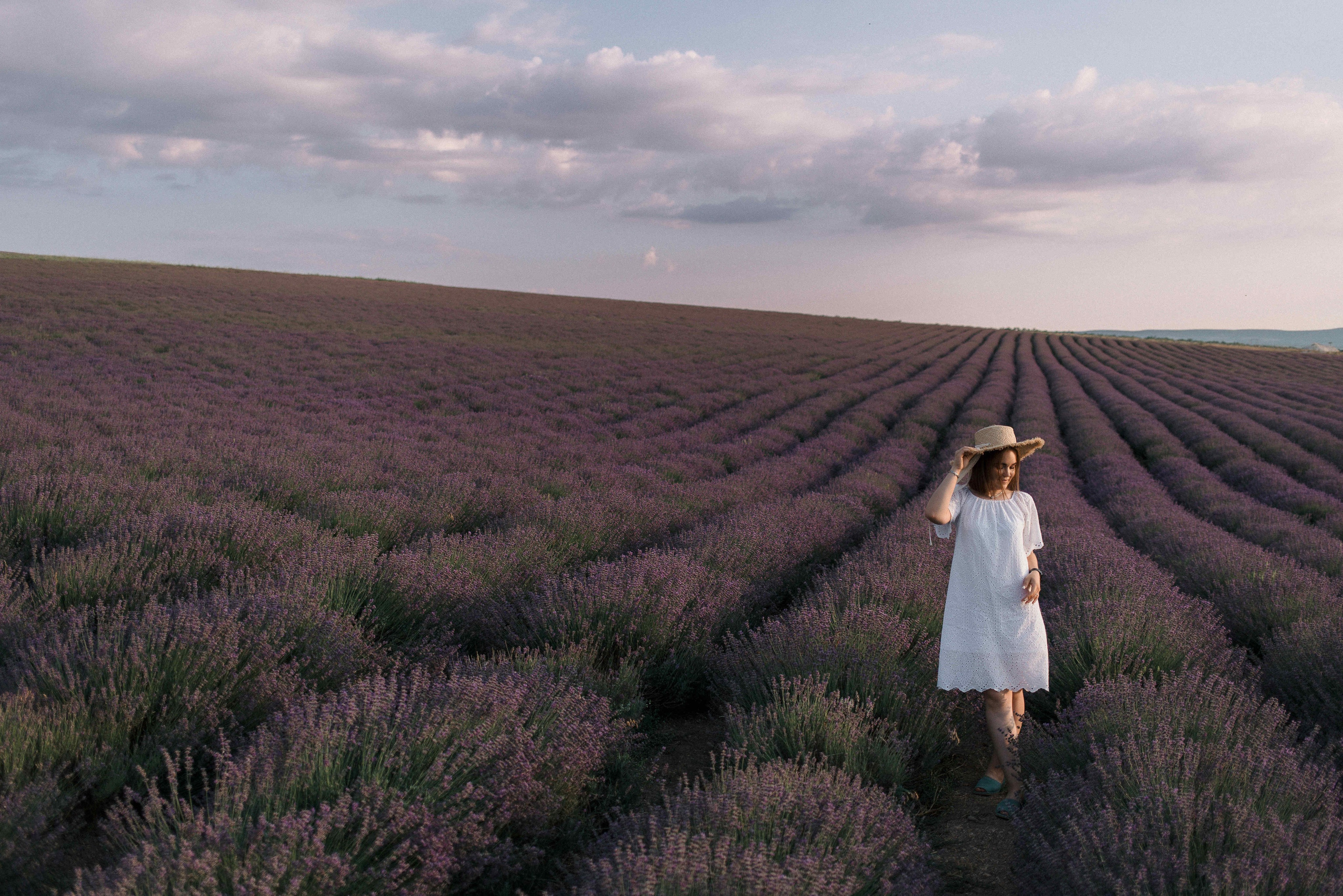 Лаванда. Свадебный фотограф Мироманов Николай в Крыму