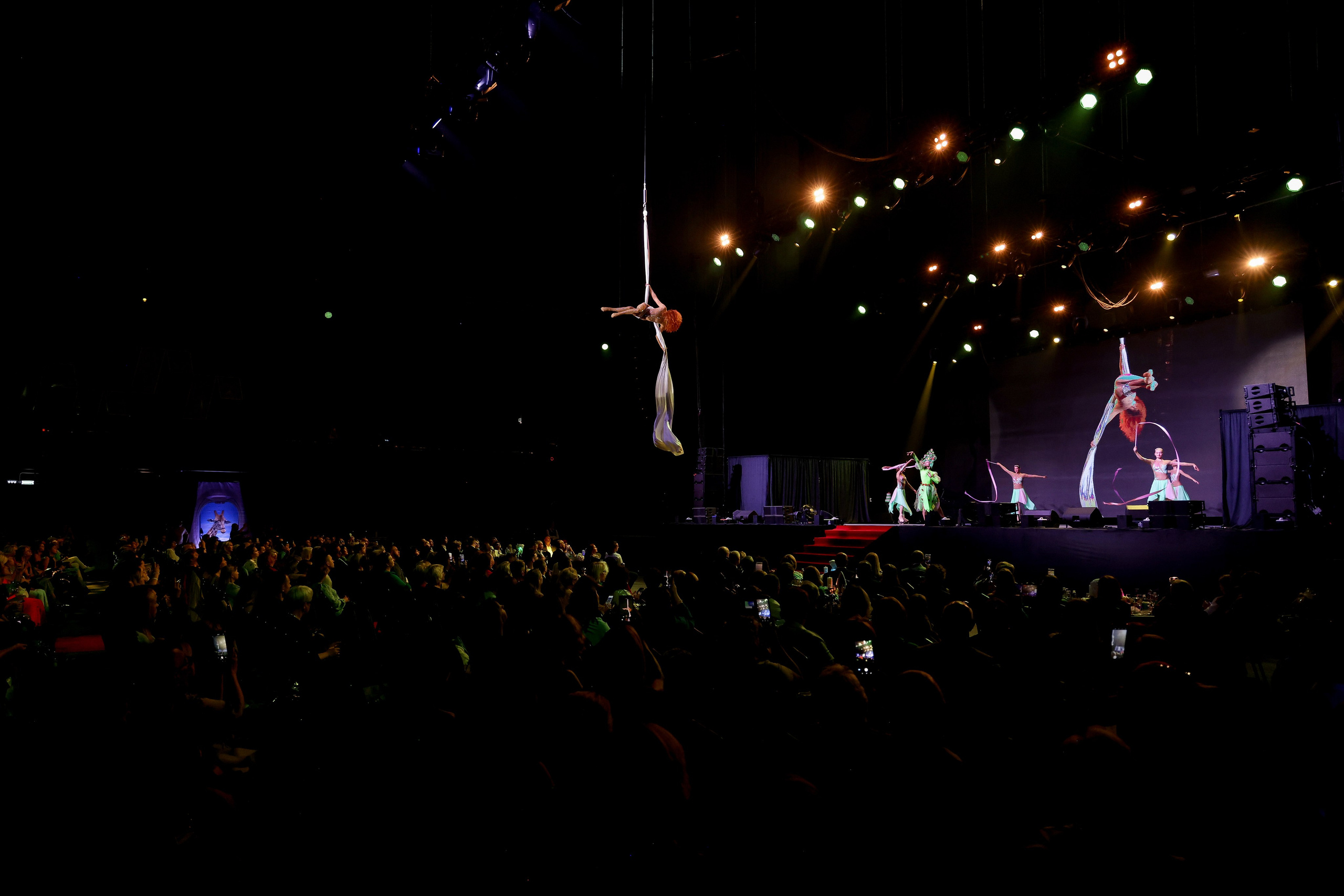 NSP. Фотограф Антон Чупринин