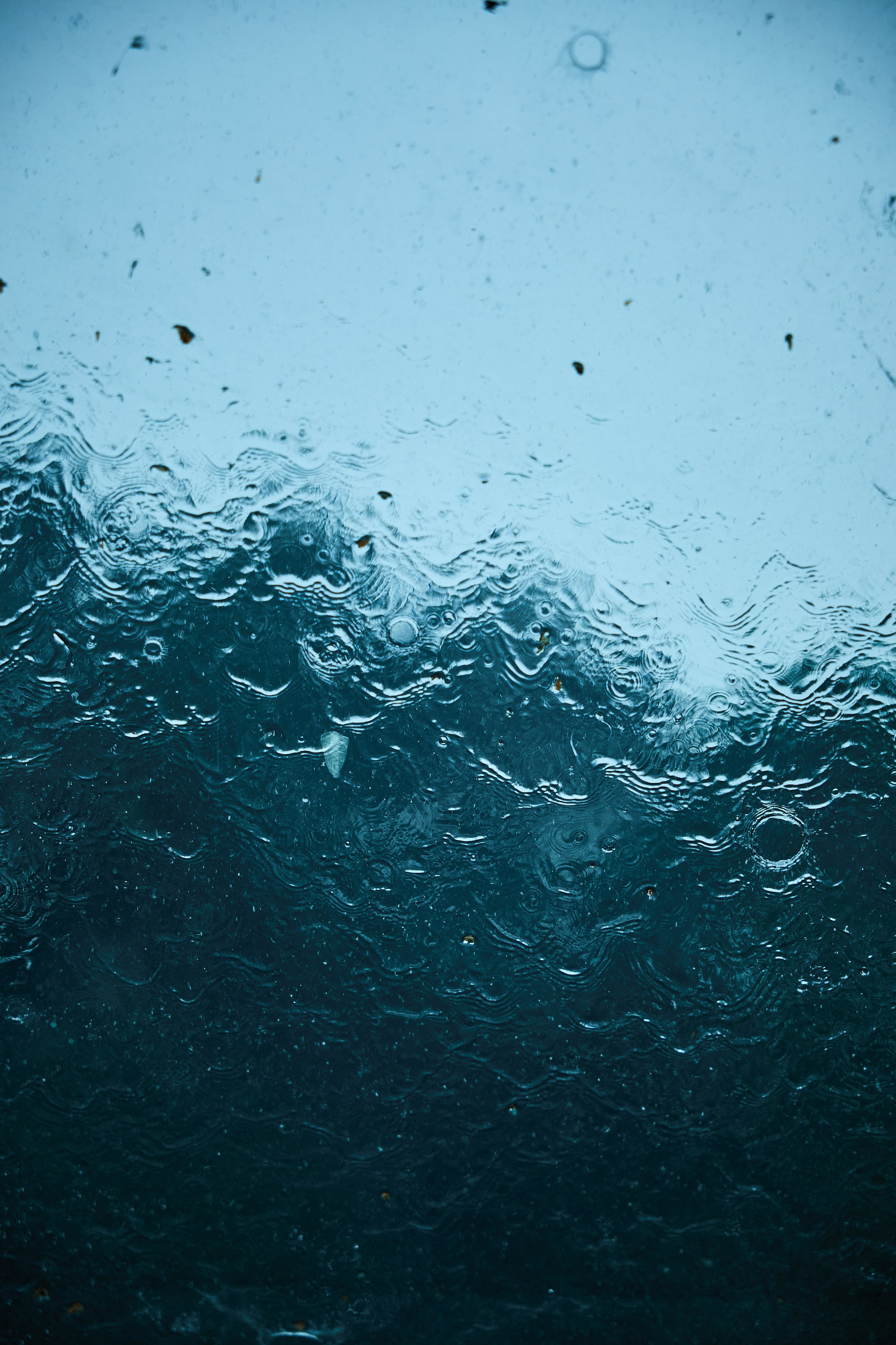 Максим и Софья. Kharchenkotatianaweddingphoto