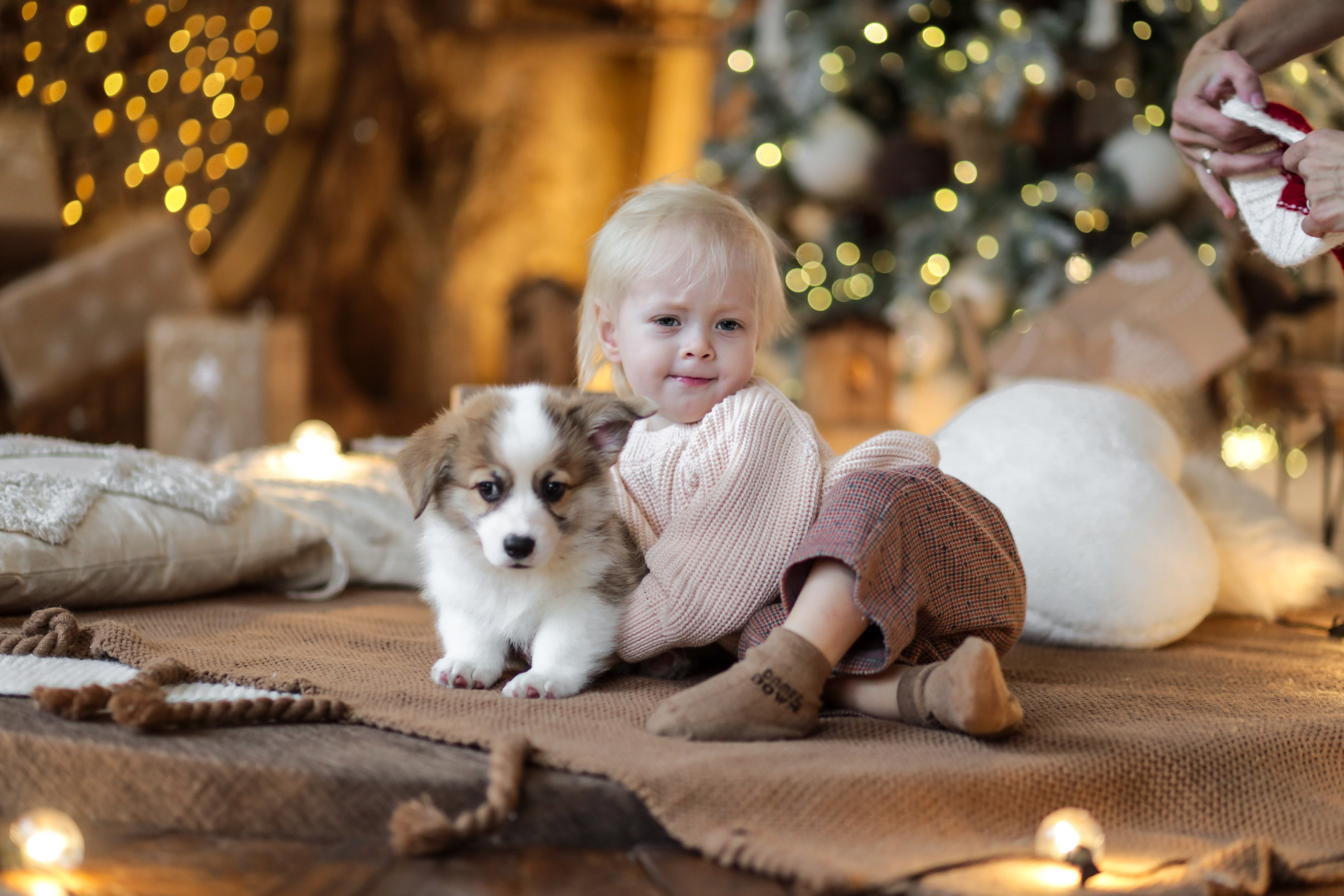 Светлана и Алена. Kharchenkotatianaweddingphoto