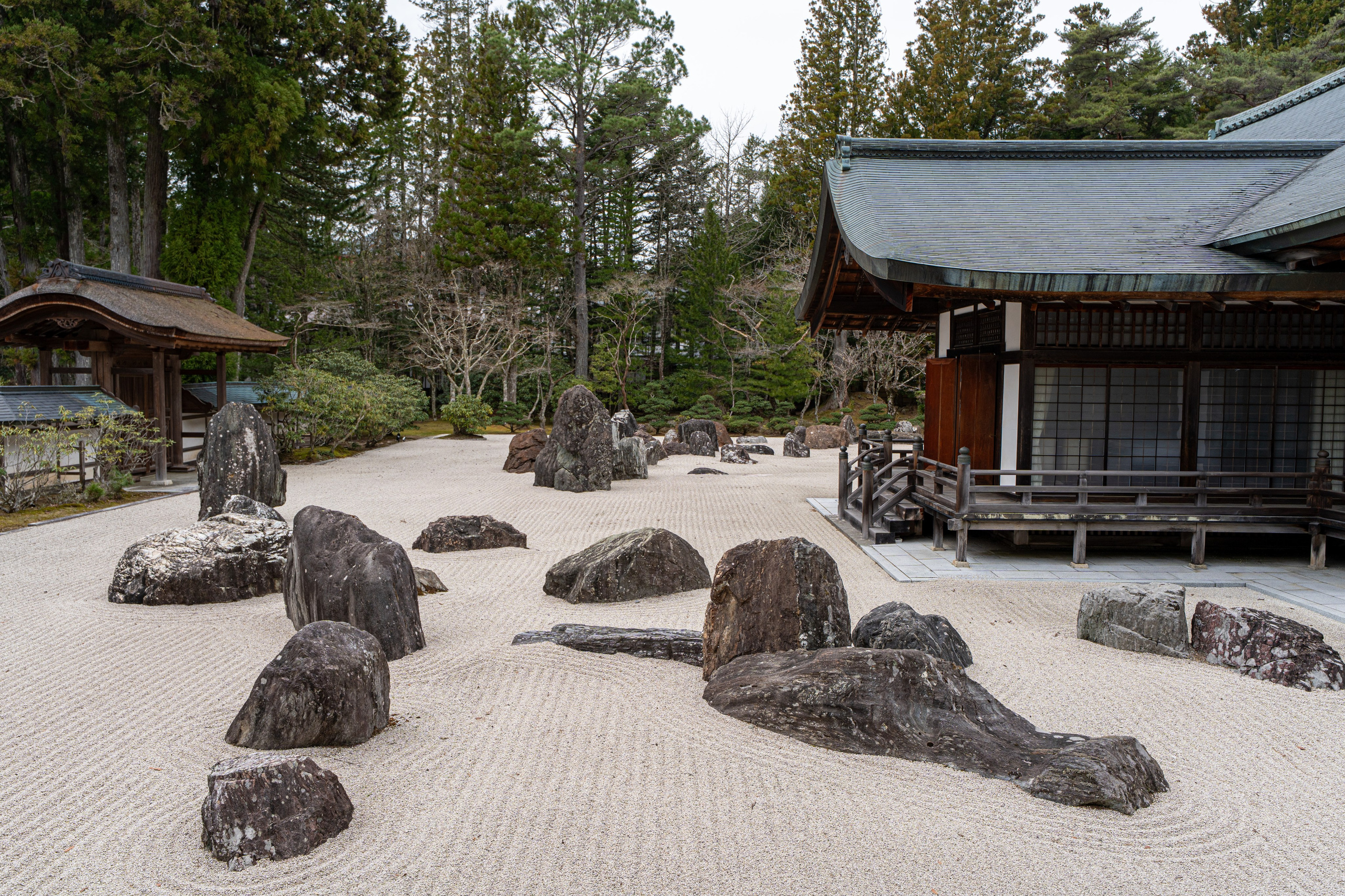 Япония, сакура. Творческие сьемки