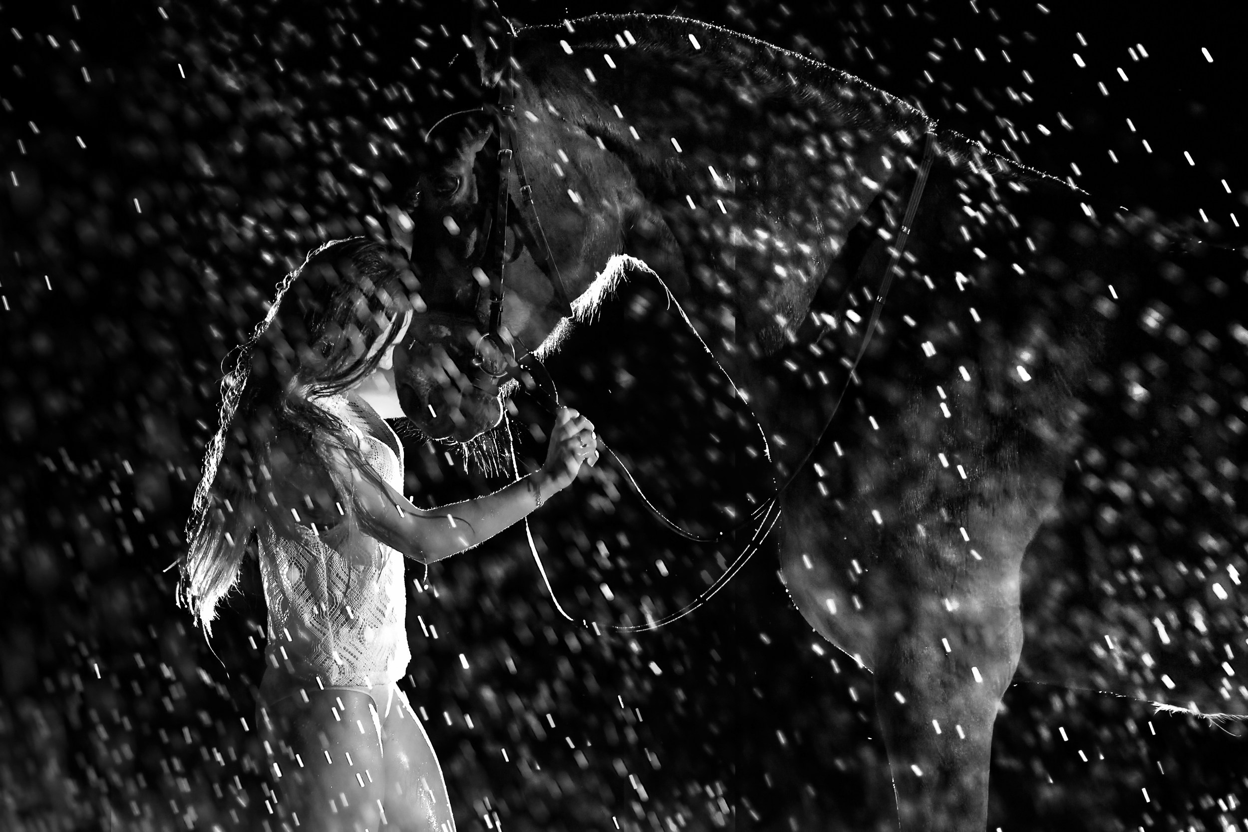 Фотосессия с лошадьми, Фотограф Михаил Семенов г. Ярославль