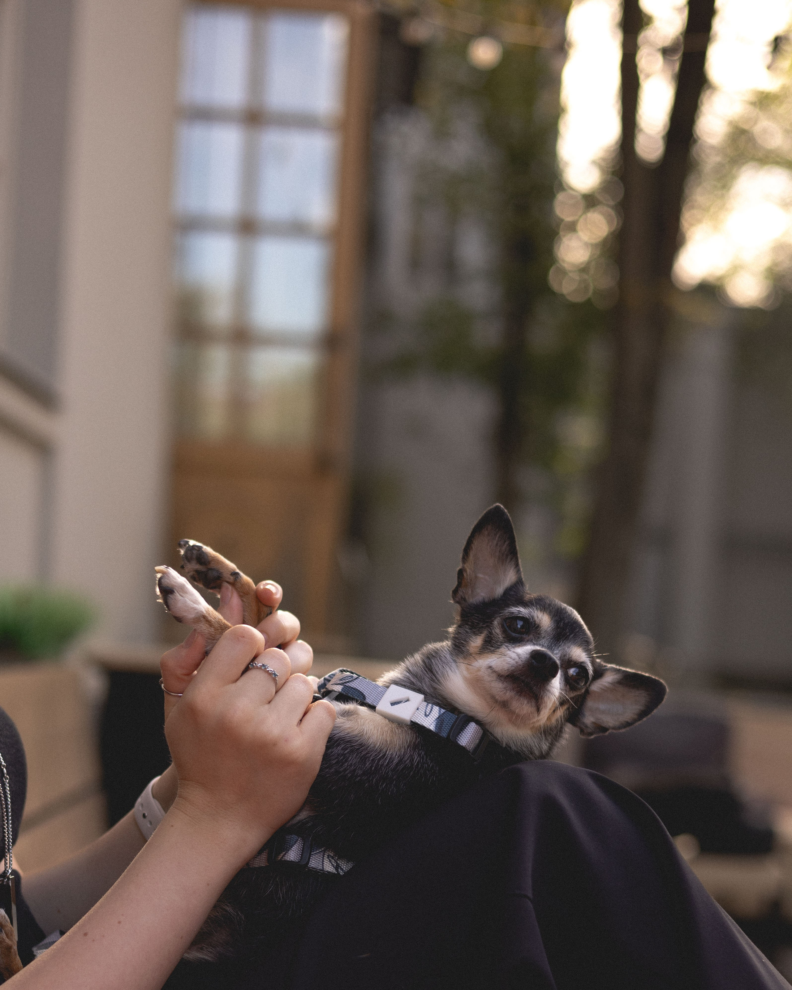 Вика & Давид. Фотограф Москва