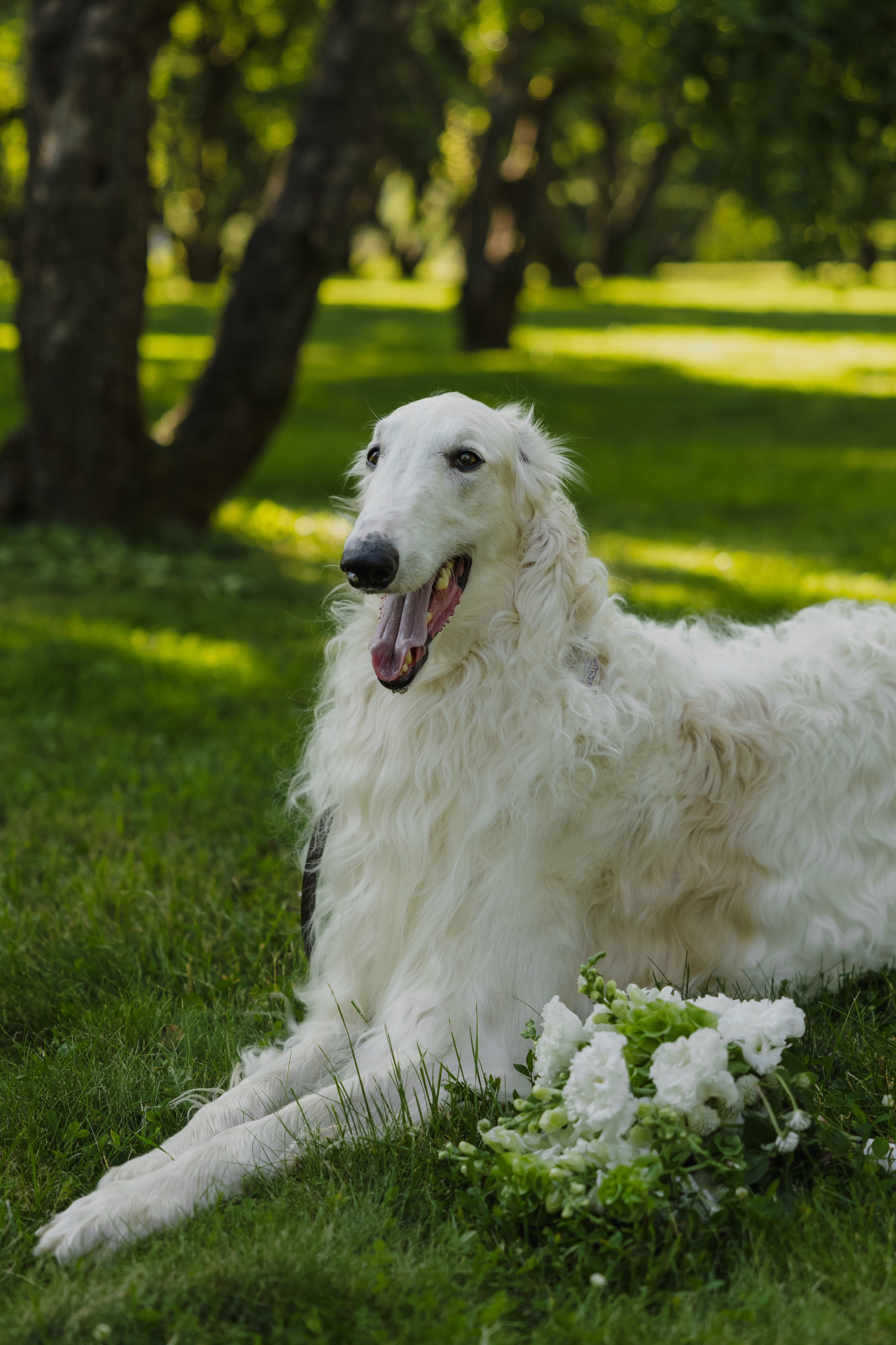 Одним летним вечером