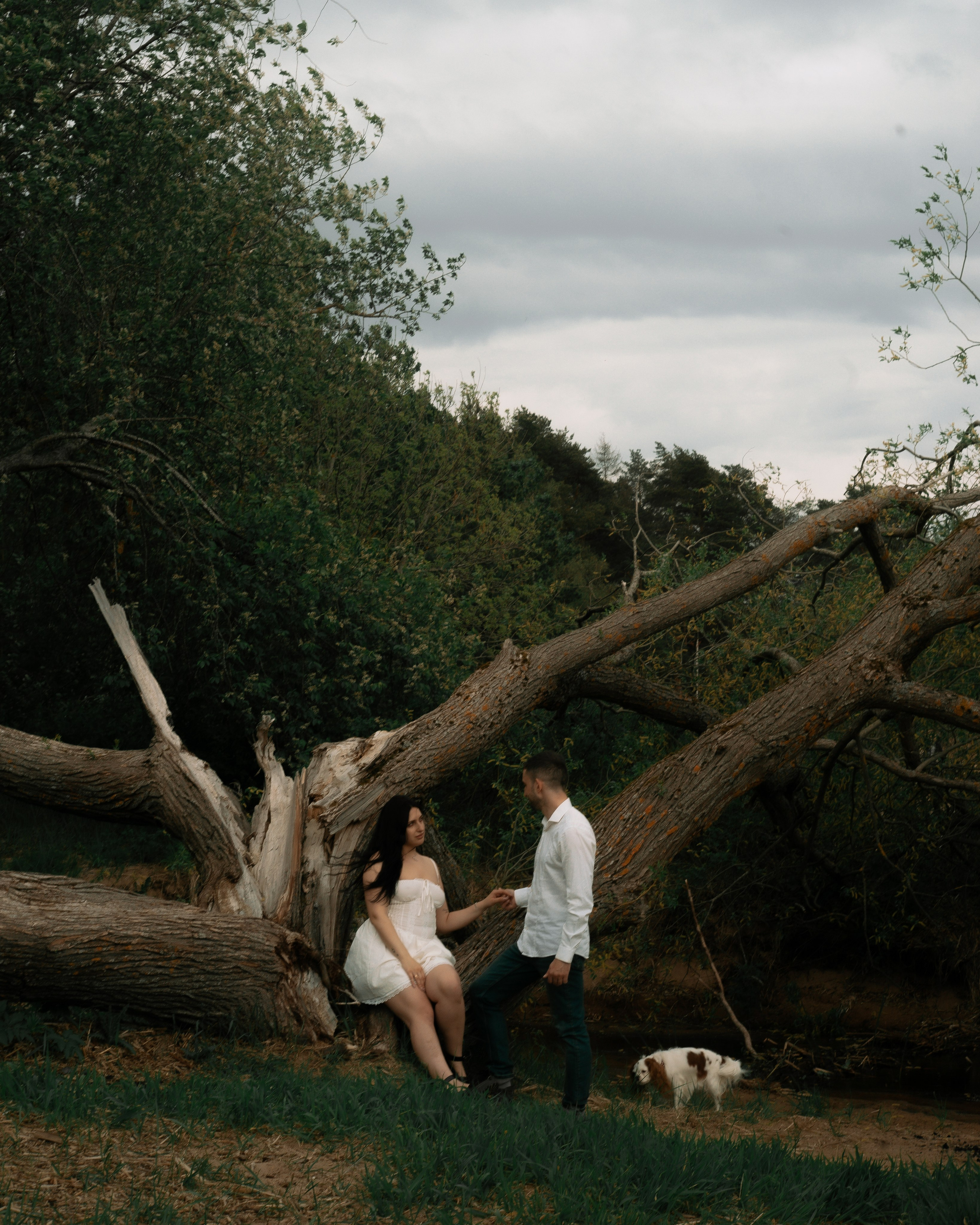 парная фотосессия в лесу с собакой, love story