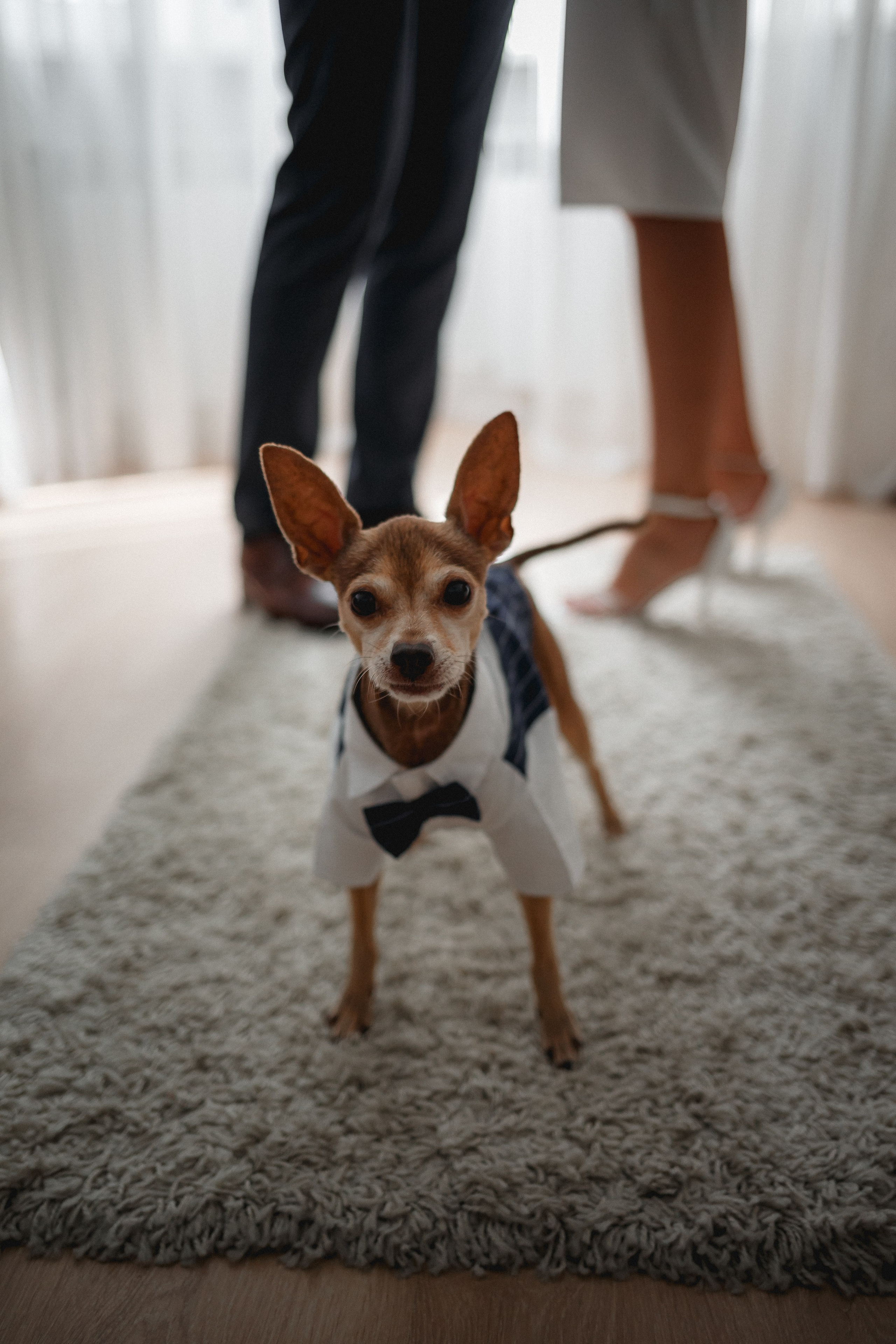 Оксана и Михаил. Фотограф в Москве Базанова Дарья