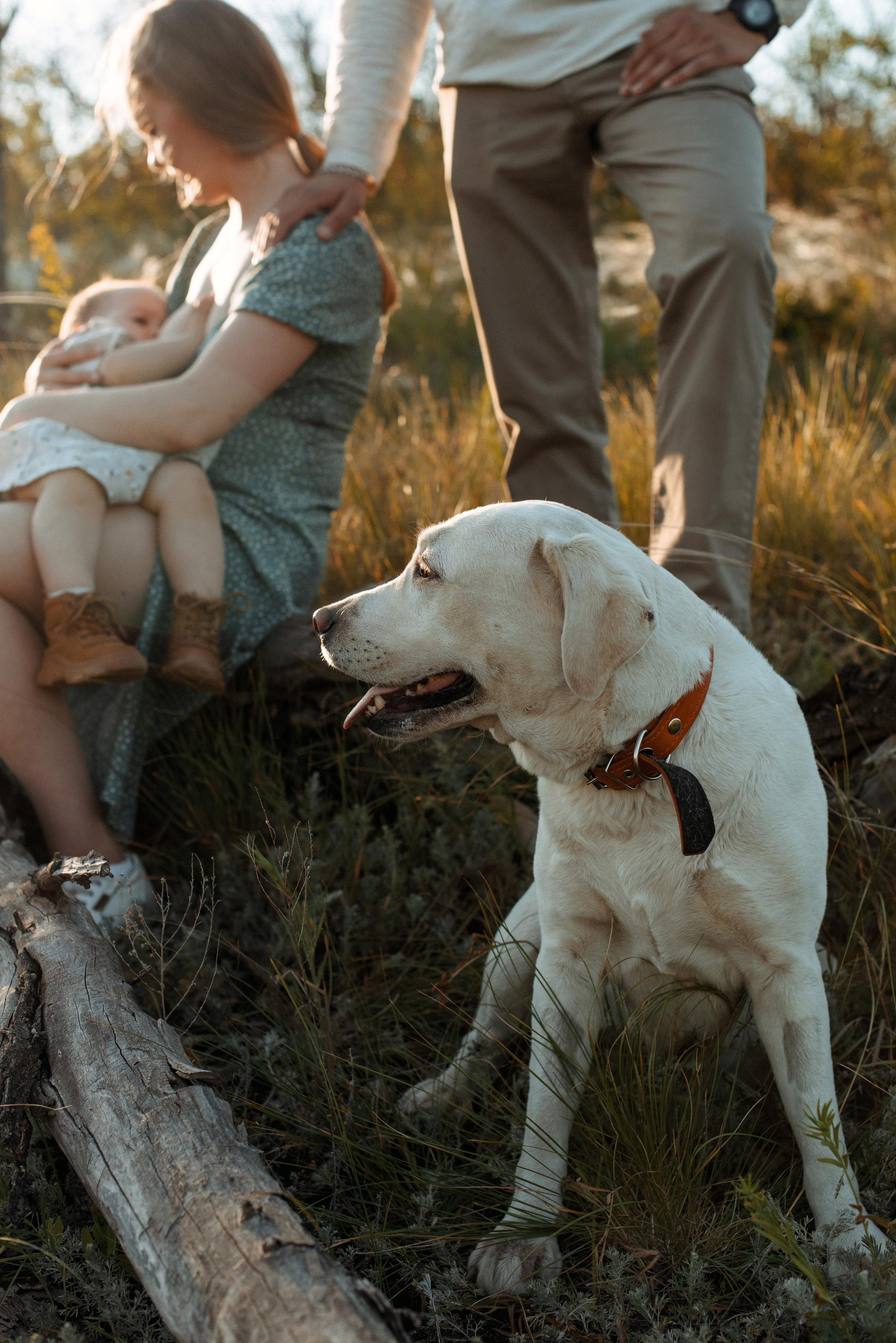 Трое в поле, не считая собаки. Семейный документальный фотограф в Волгограде Мариэта Додина