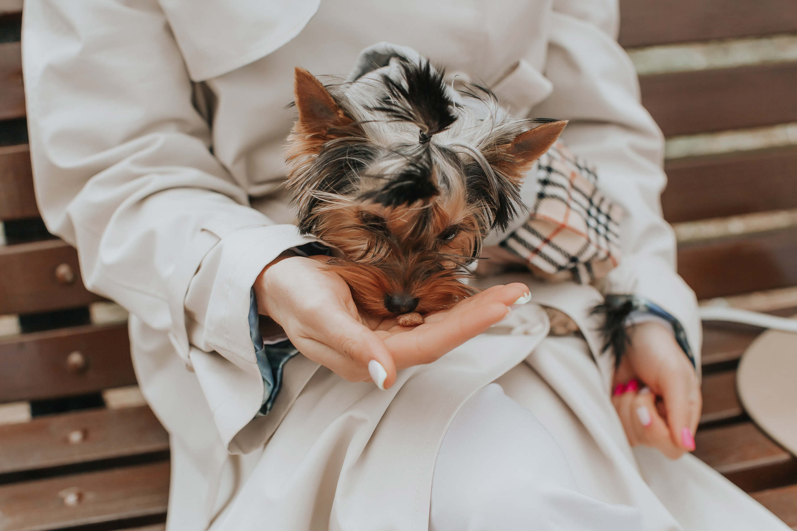 Люба и Стеша. Свадебный фотограф Ярославль Ирина Волоцкая