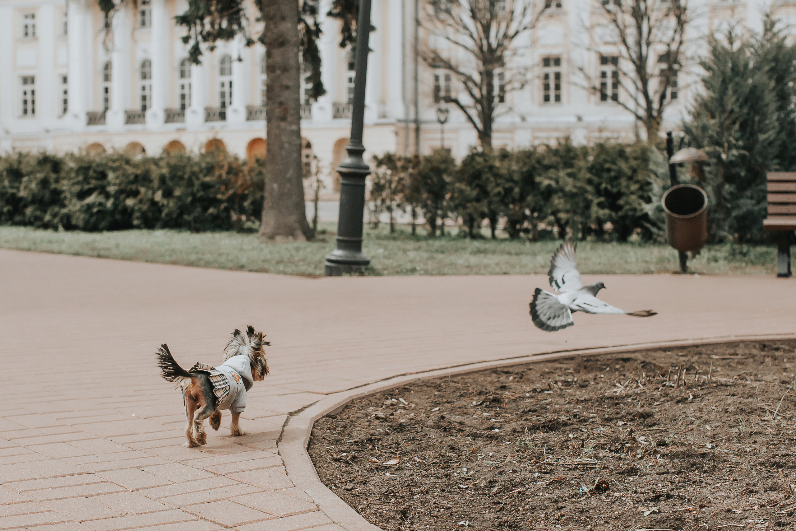 Люба и Стеша. Свадебный фотограф Ярославль Ирина Волоцкая