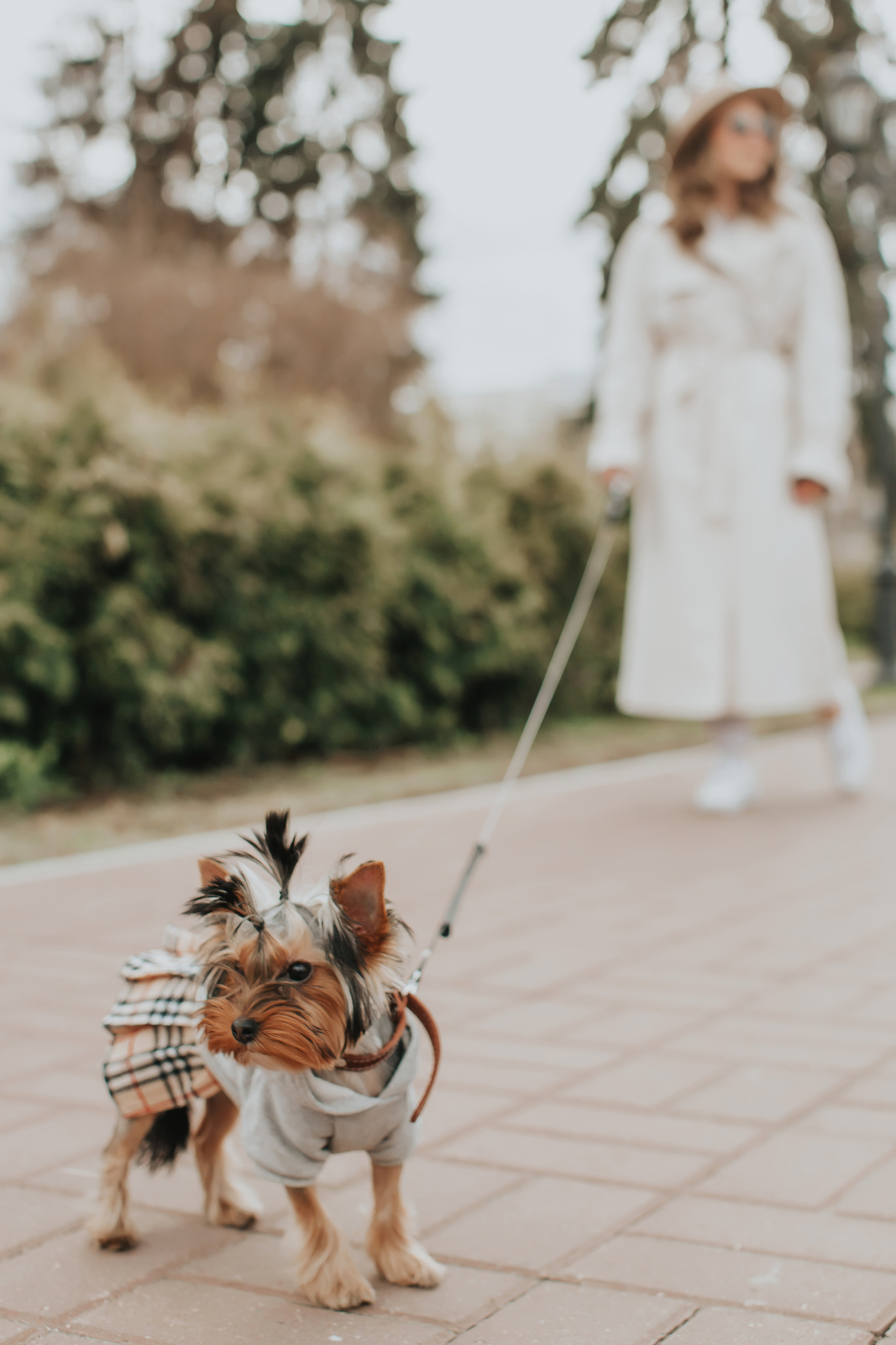 Люба и Стеша. Свадебный фотограф Ярославль Ирина Волоцкая