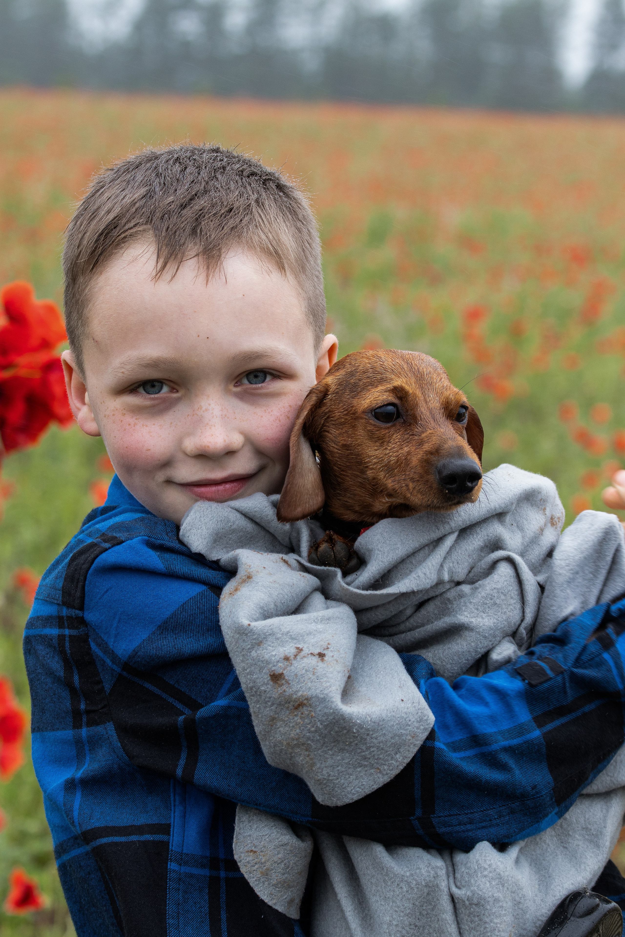 Семья в маках. Портретный фотограф в Санкт-Петербурге Савельева Ольга