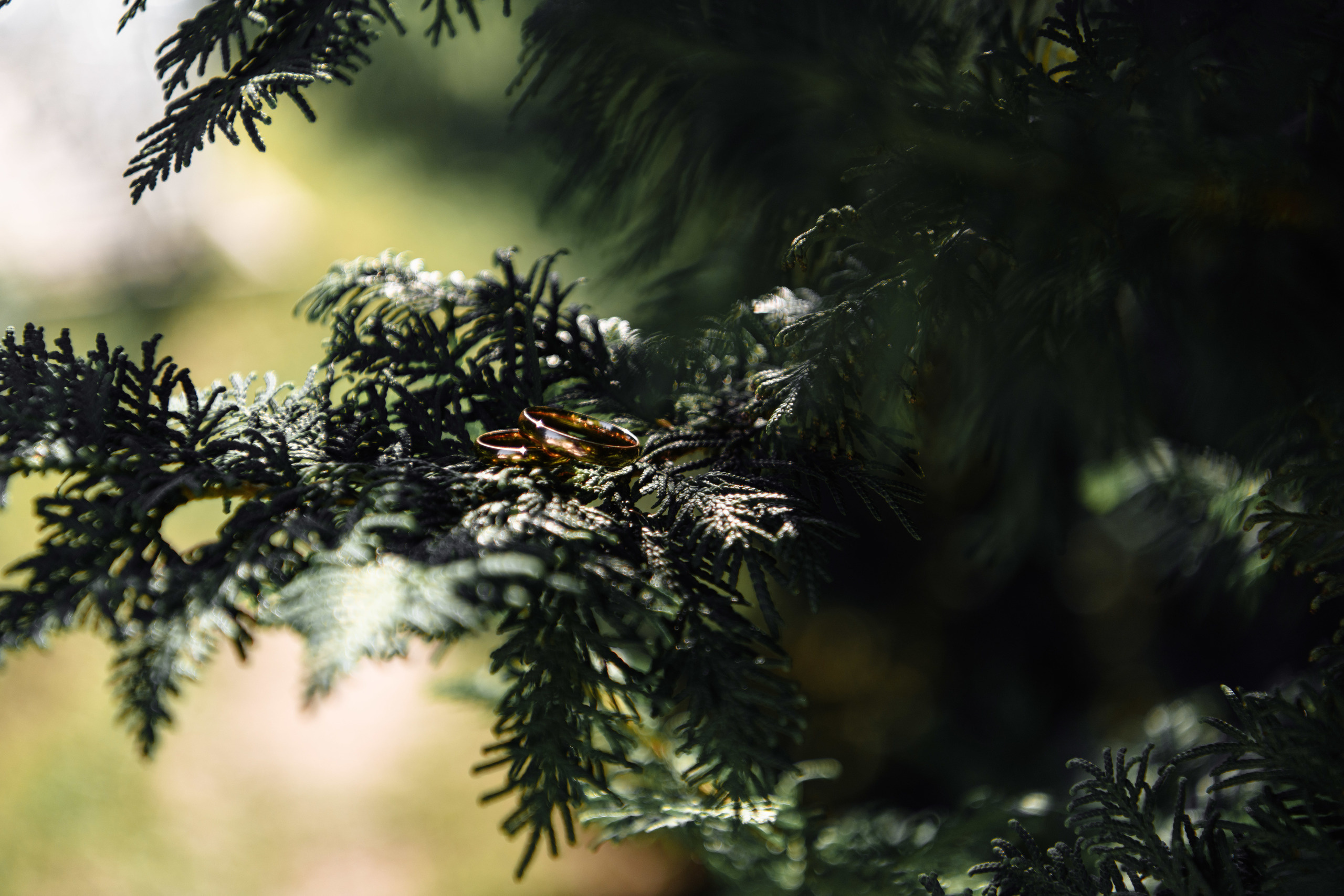 Анонс свадьбы 29.08.2020 Даниила & Екатерины. Свадебный и семейный фотограф в Уфе | Винс Константин | Фотопроекты