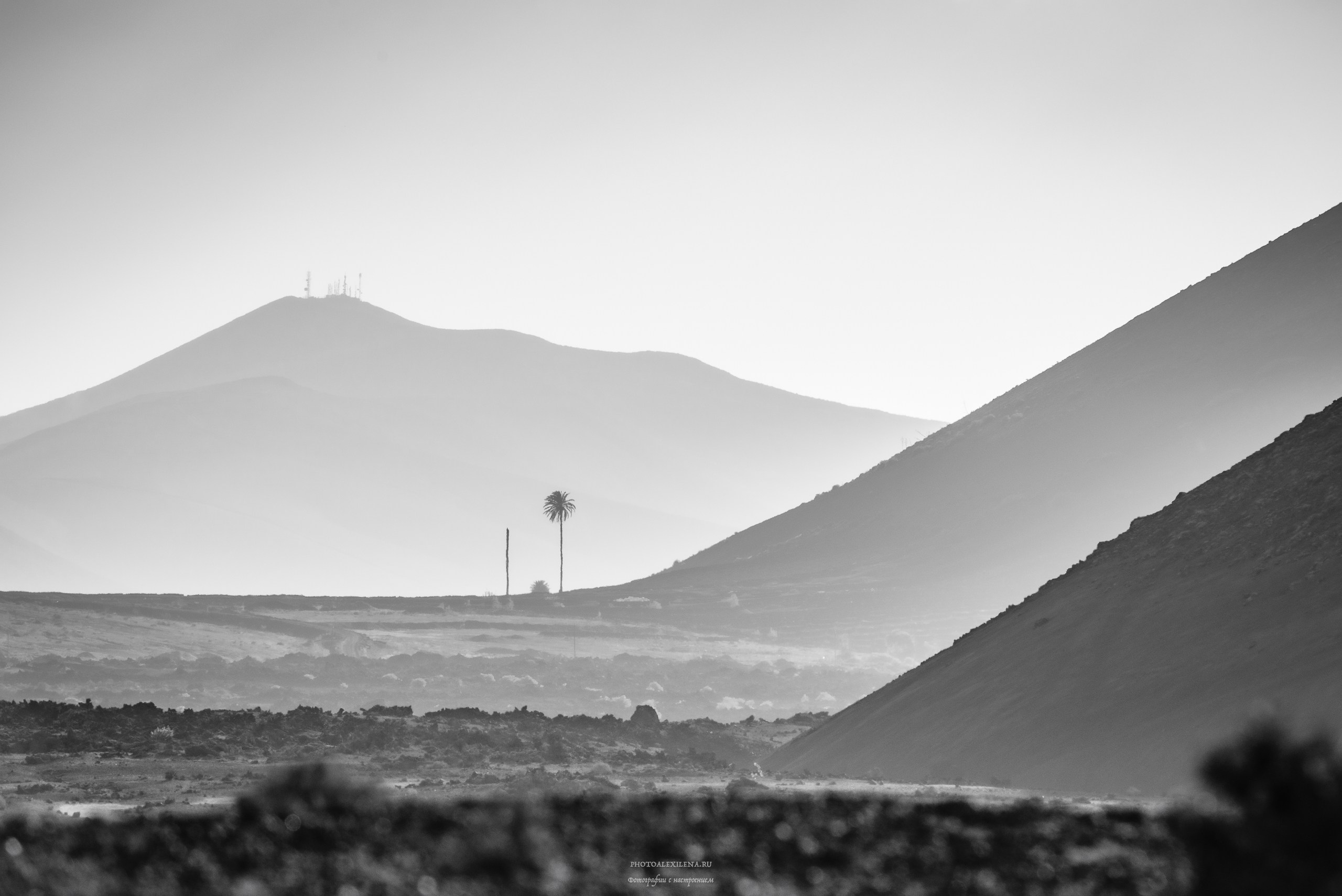 Минимализм. Авторские стильные фотокартины