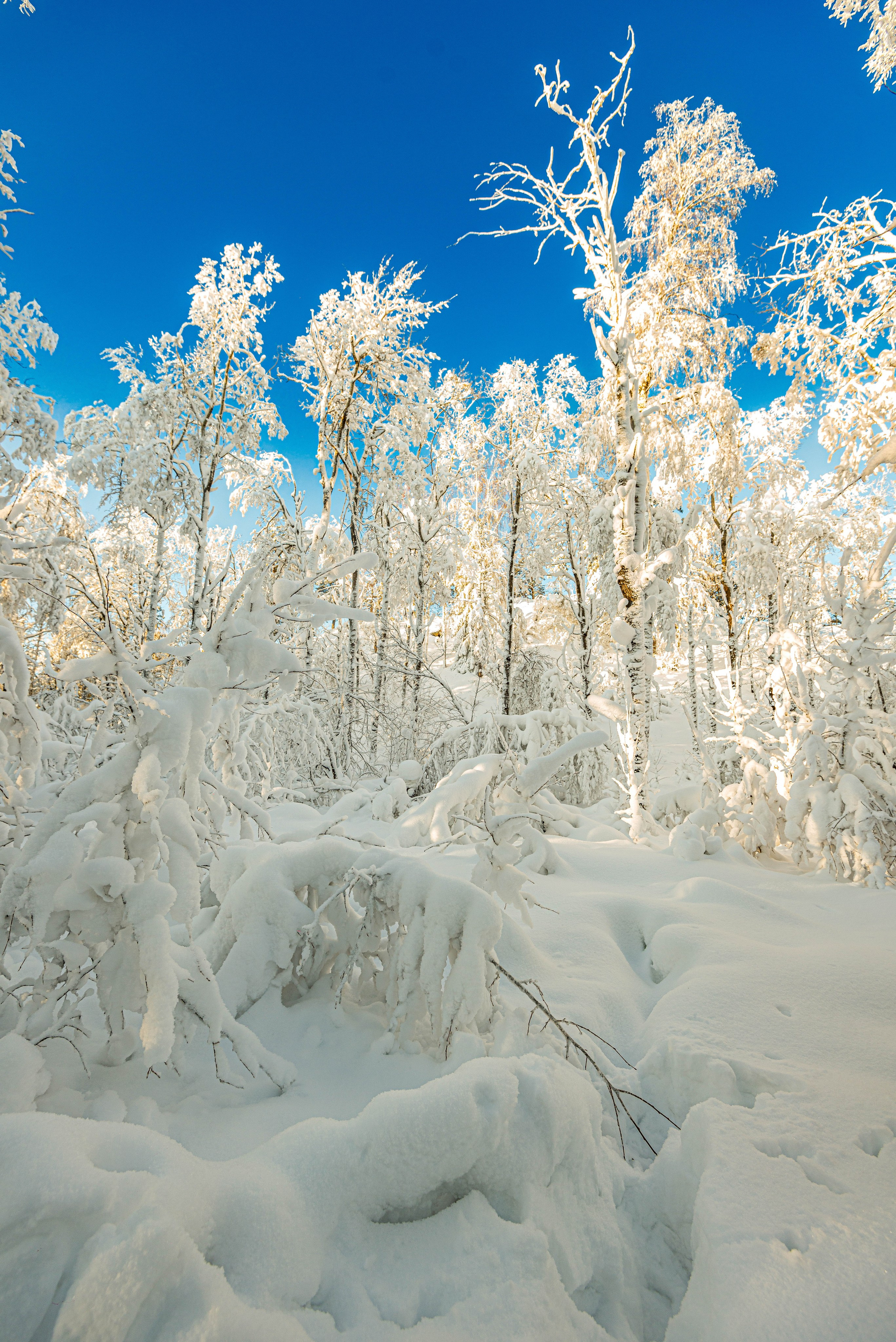 Таганай Семибратка, Парк Бажова, ледяной фонтан 06.01.2024. Свадебный фотограф на Урале Виктор Соколов