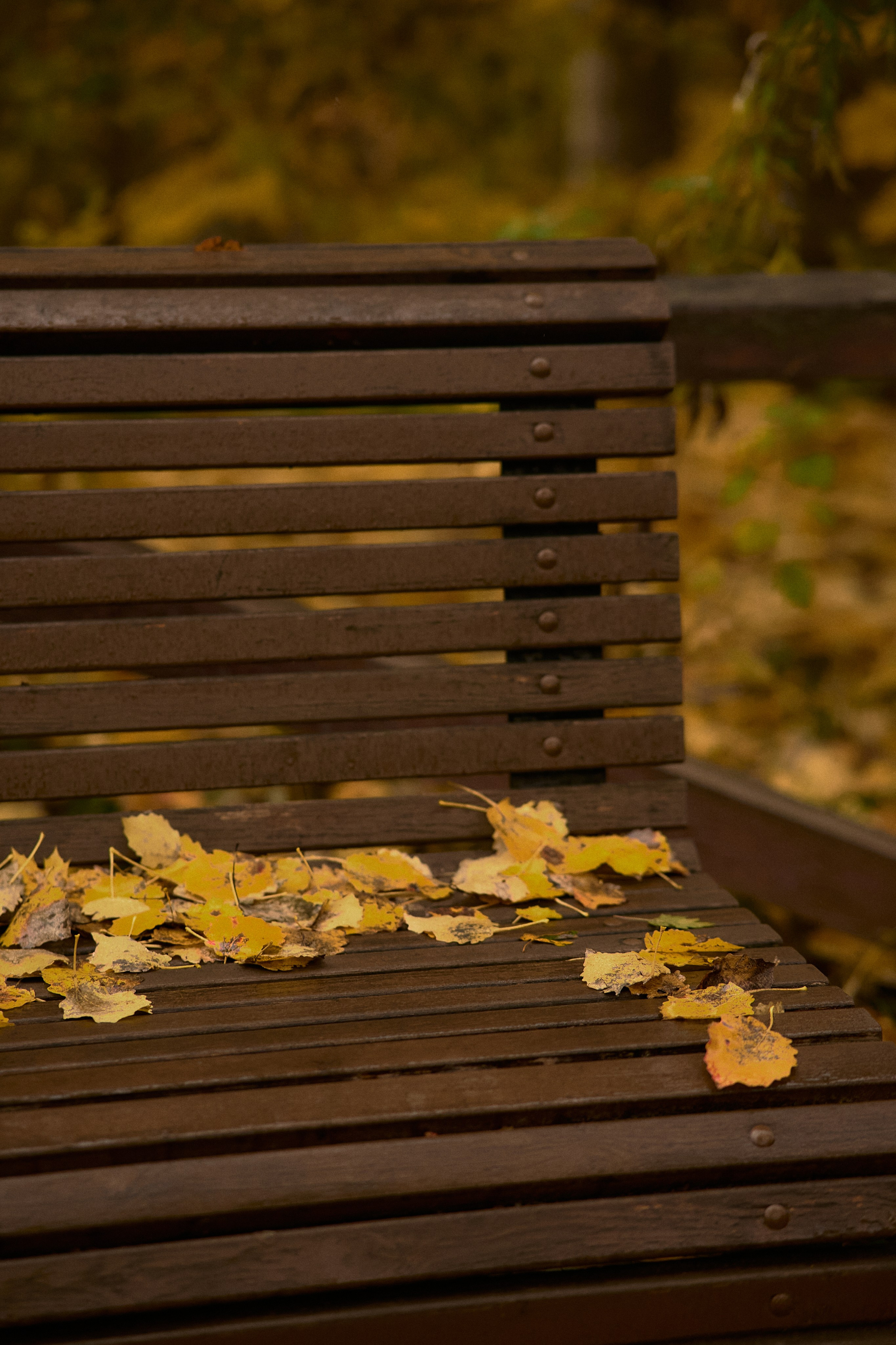 Света и Илюша под дождём. Семейный и свадебный lifestyle-фотограф в Москве Мария Петрова