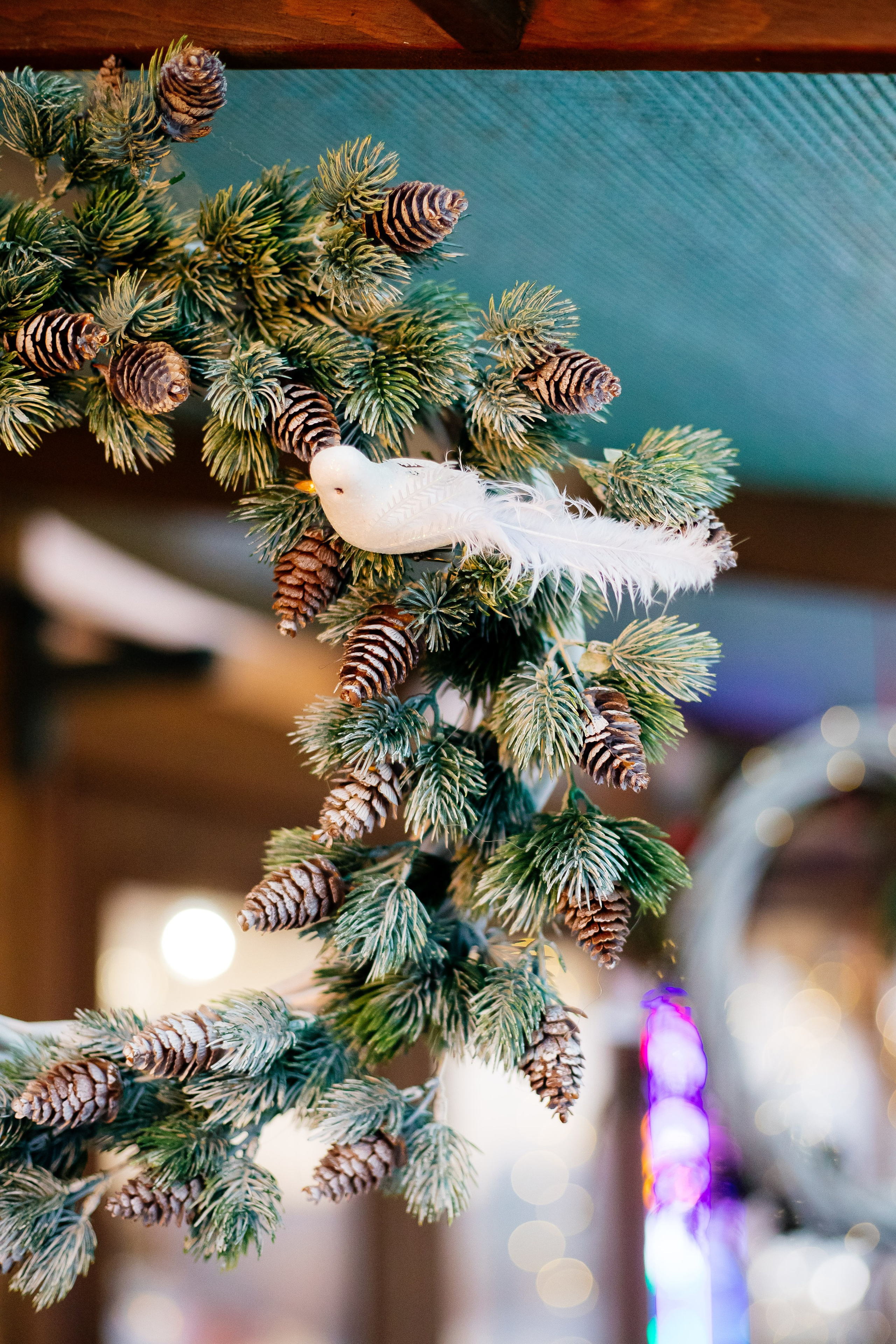 Ёлки I Авито. Репортажный и портретный фотограф в Екатеринбурге Гизатуллин Марат