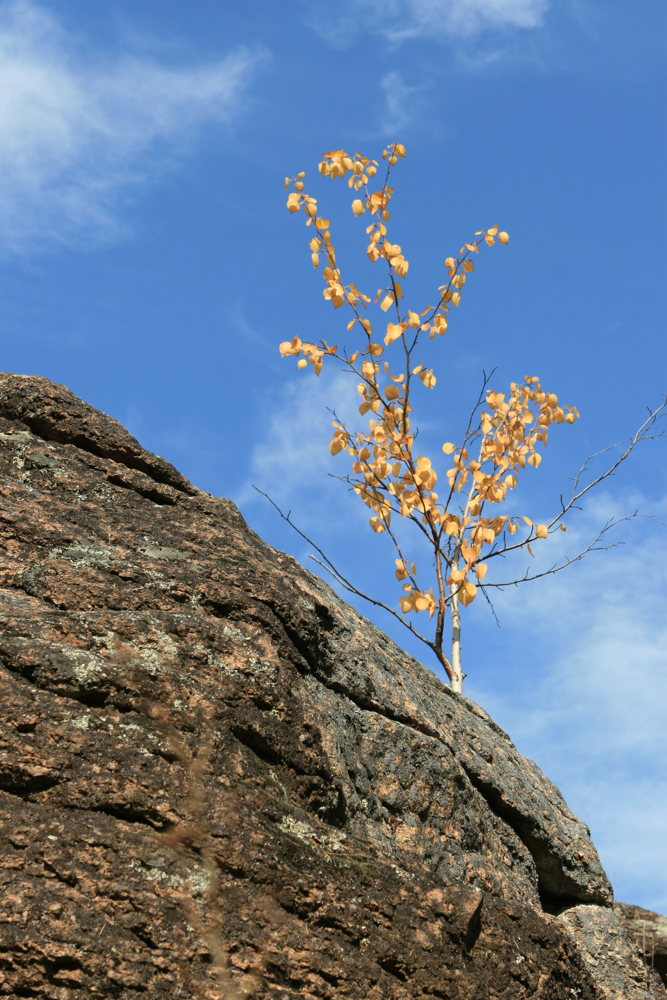 Живописные фотографии природы. Фотограф в Москве и Подмосковье, Николай Сорокин