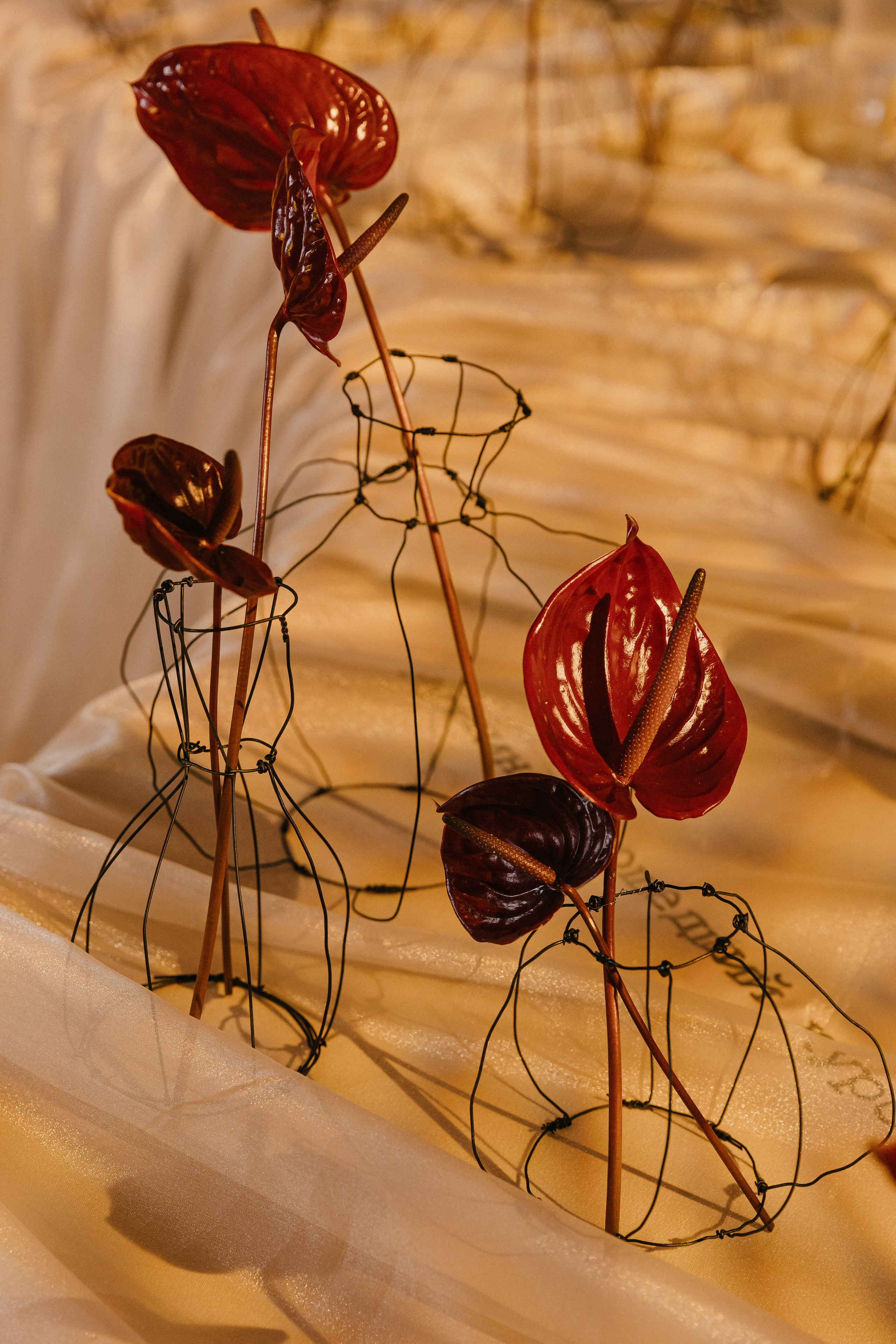 Кира и Дмитрий. Свадебный и портретный фотограф в Калининграде и Москве Марк Юдинцев