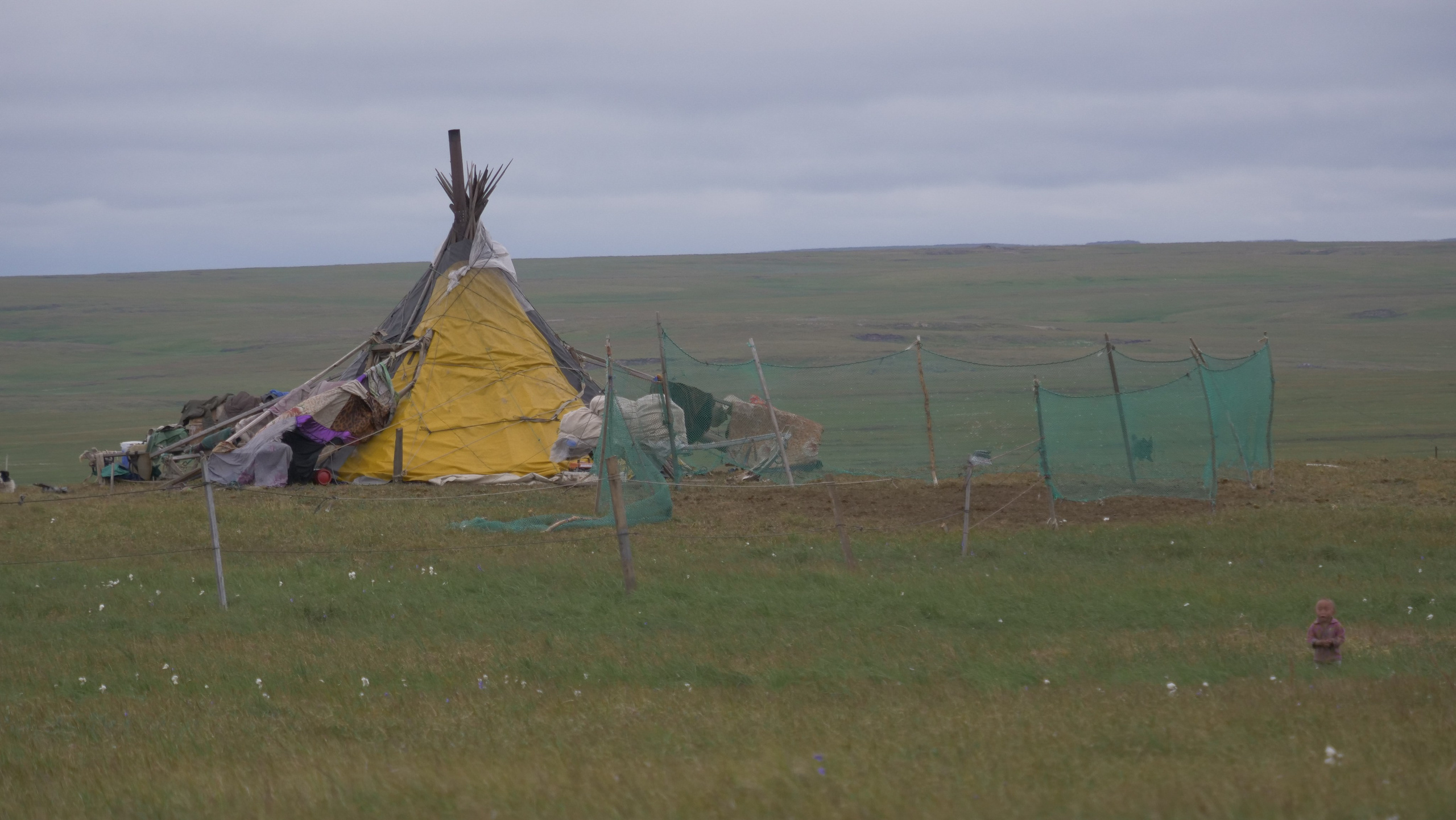Амдерма — наука (2020 г.). Фотоальбом показывающий увлекательный мир авиации и мир медведей Андрея Иванова