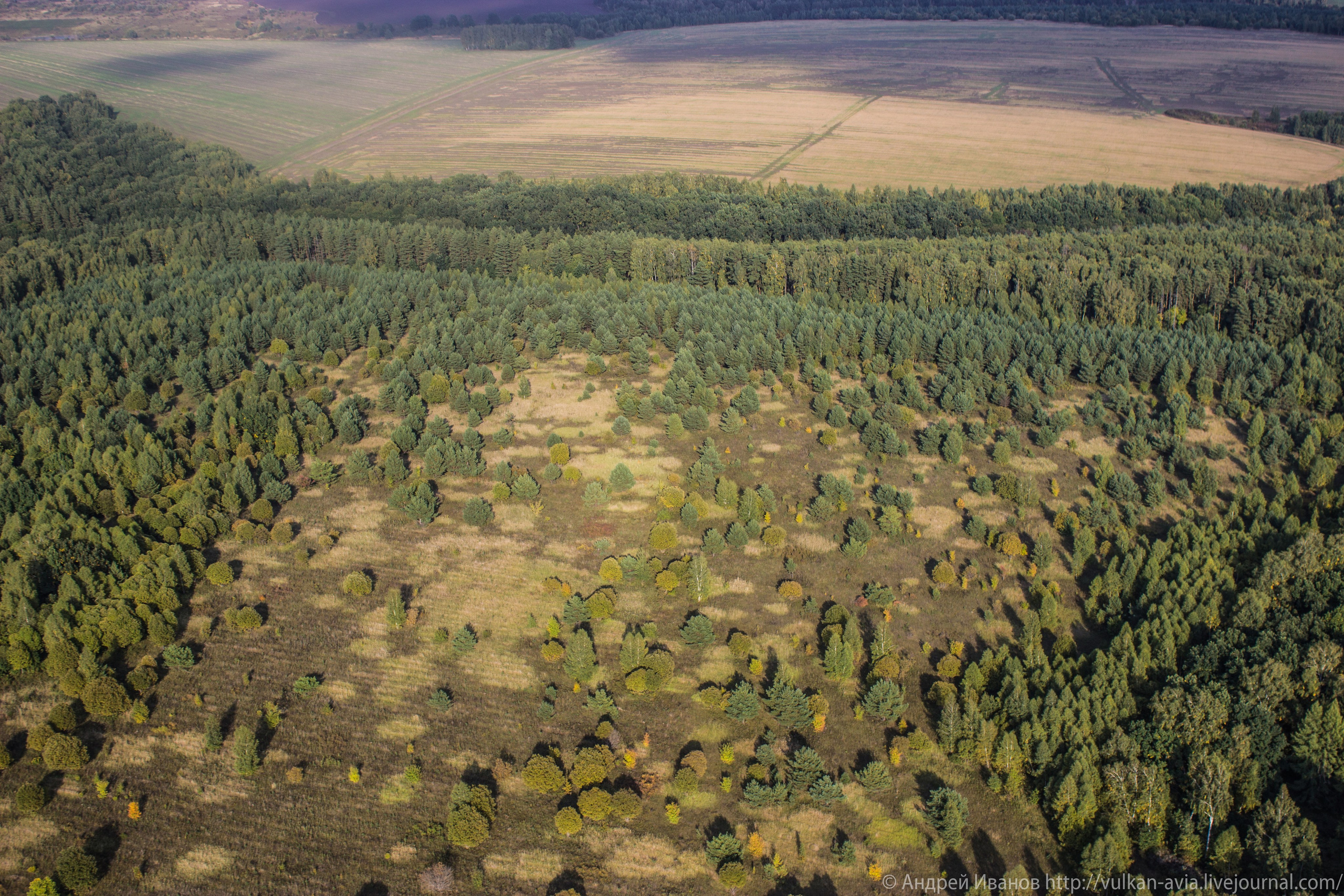Волгодонск аэр. Потапов слёт «Небо для всех» (2021 г.). Фотоальбом показывающий увлекательный мир авиации и мир медведей Андрея Иванова