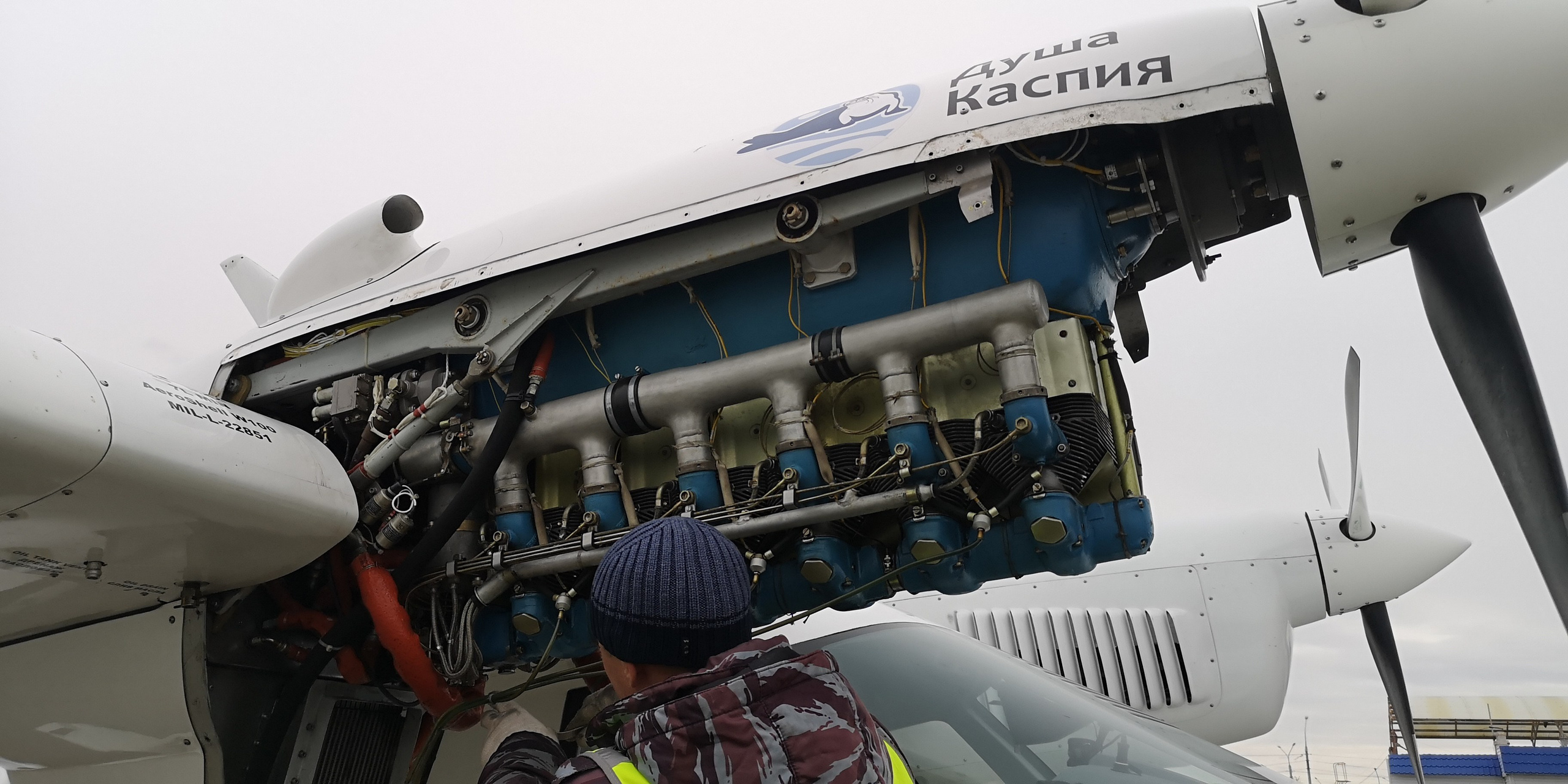 Каспийское море (наука на Ла-8) (2021 г.). Фотоальбом показывающий увлекательный мир авиации и мир медведей Андрея Иванова