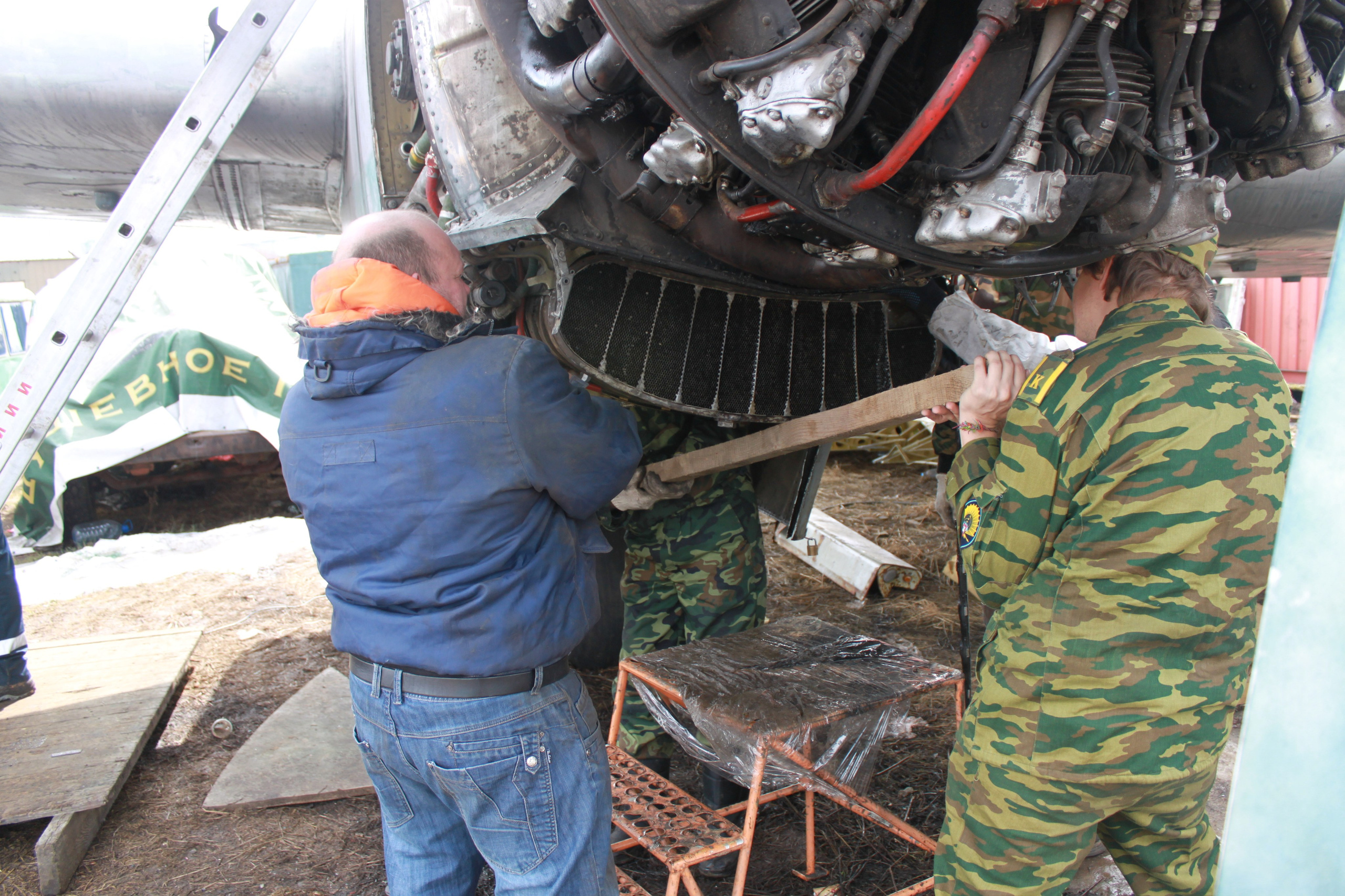 Ил-14Т «Голубая Мечта» работы в Тушино (2011 г.). Фотоальбом показывающий увлекательный мир авиации и мир медведей Андрея Иванова