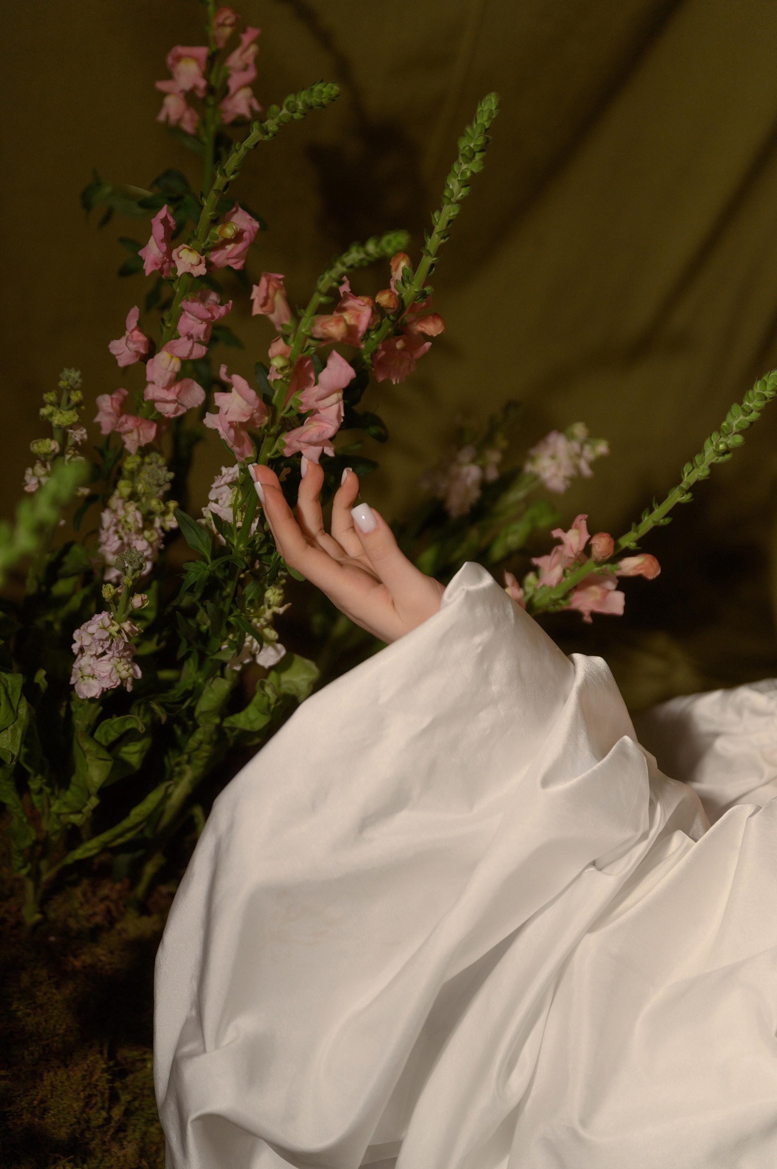 Максим и Яна. Свадебный фотограф и видеограф