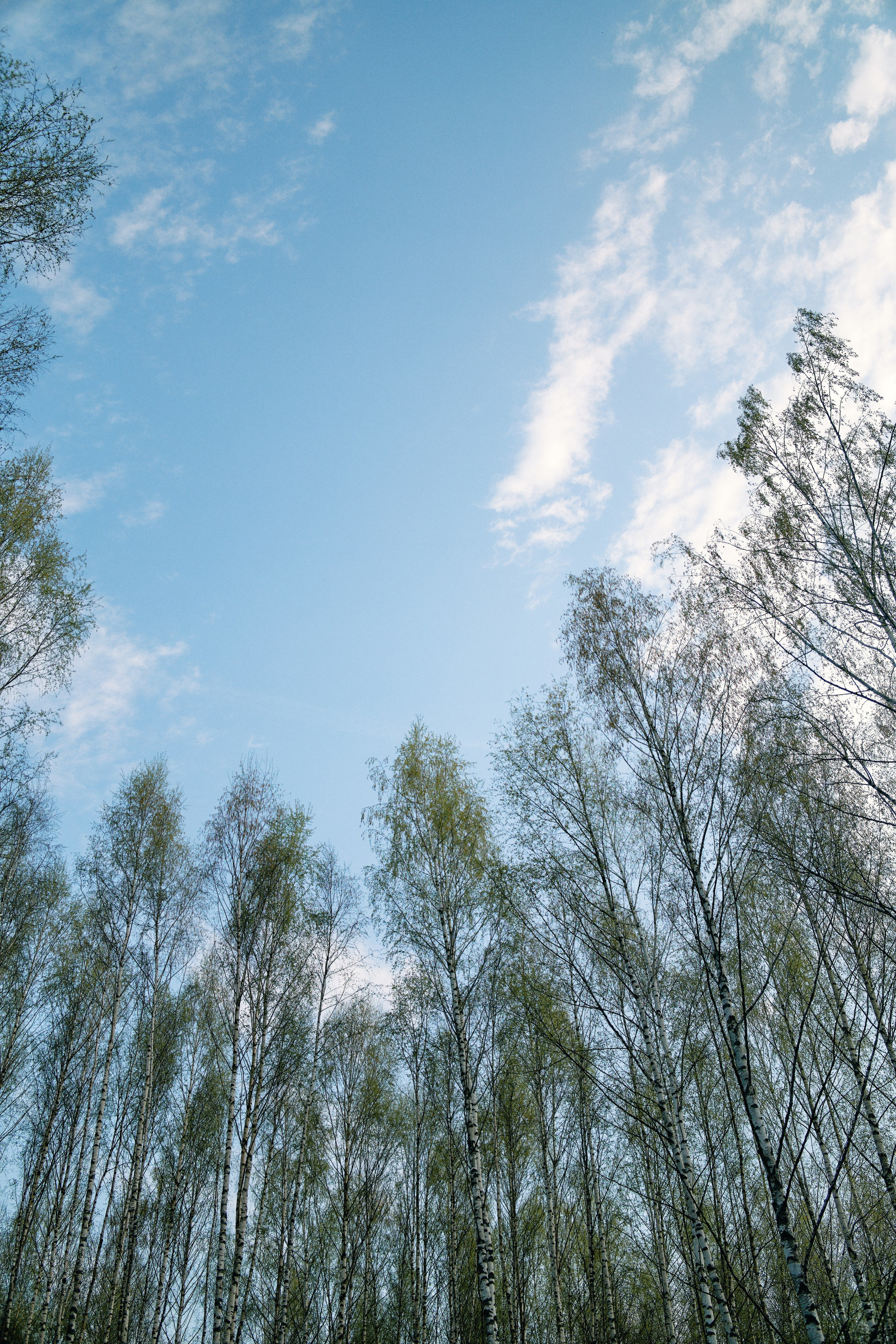 Бутик-отель Поле летом. Профессиональный Фотограф во Владимире, в Москве и в Суздале — Полина Романычева