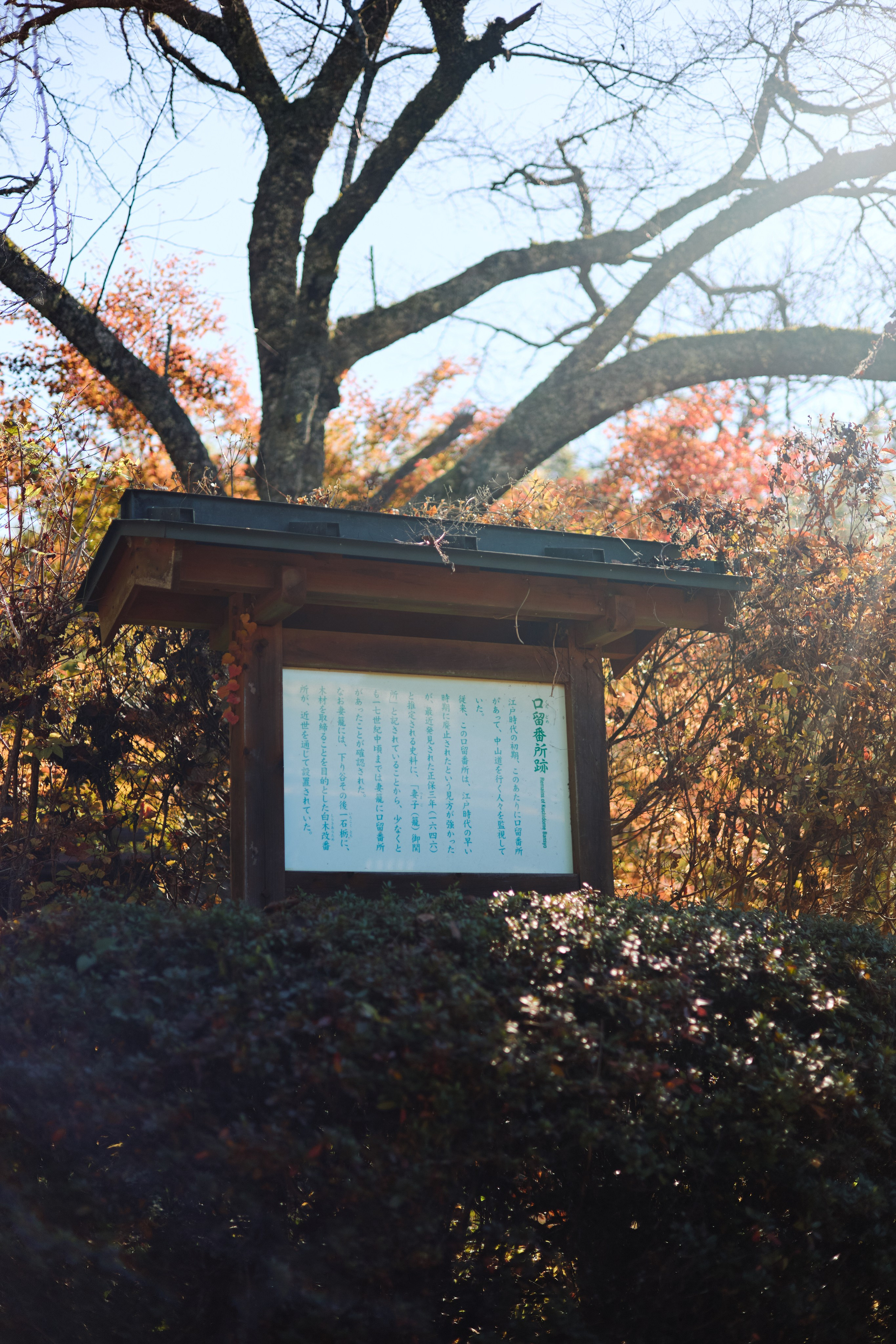 Япония. Профессиональный Фотограф во Владимире, в Москве и в Суздале — Полина Романычева