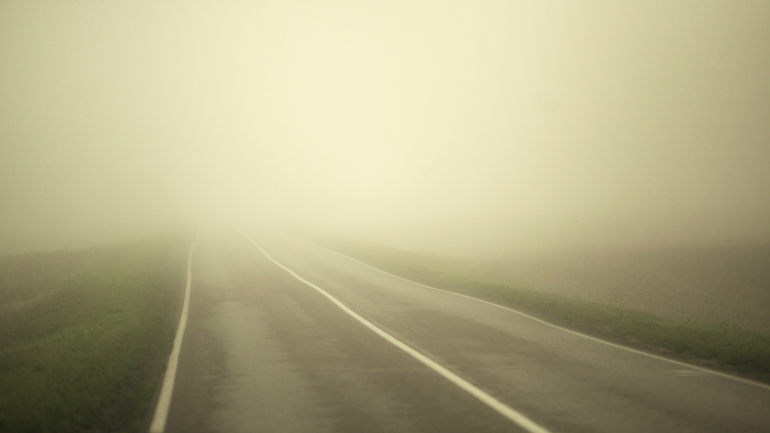 «Случайная встреча». Фотограф и Видеограф Артур Гимаев