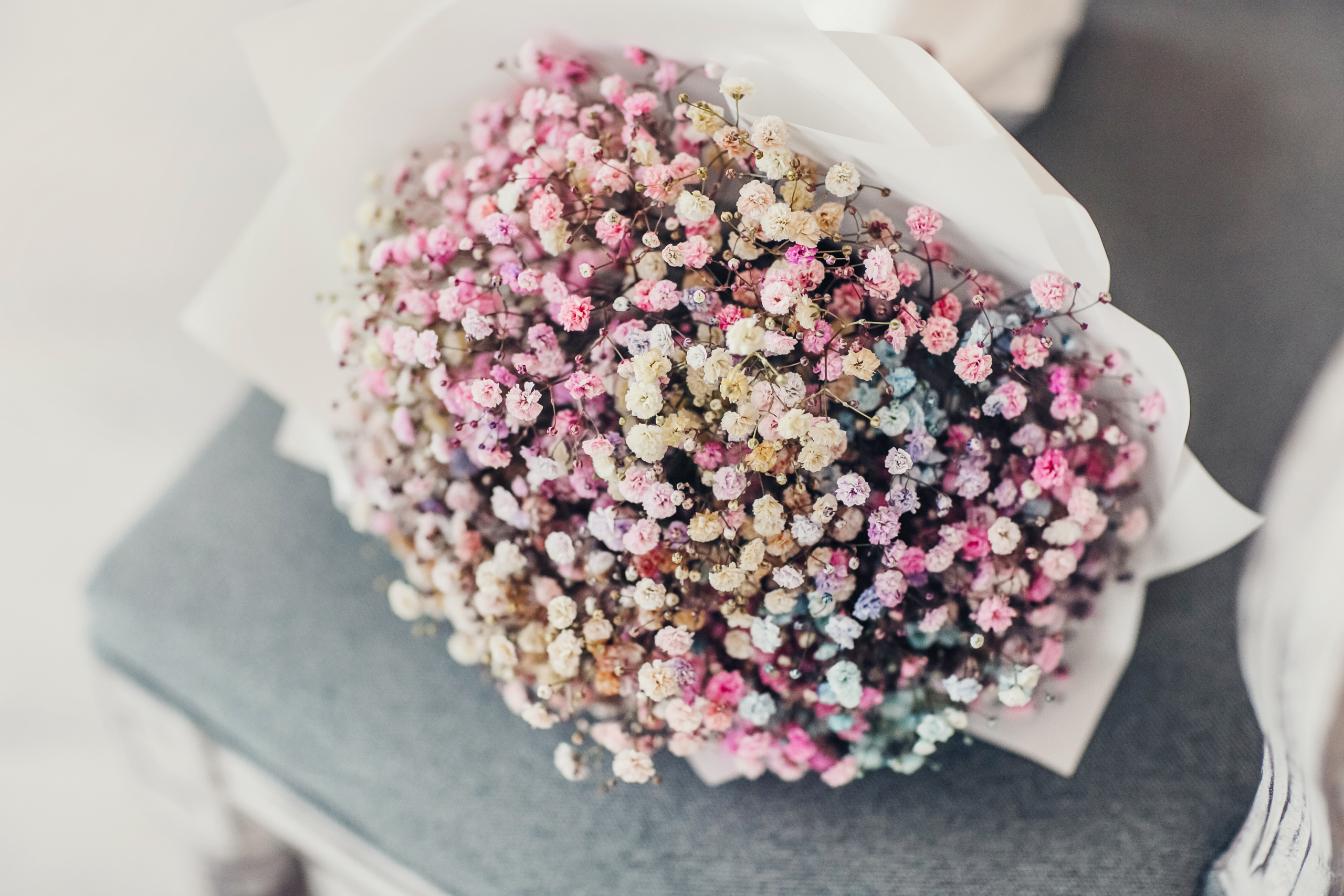 Лизе 4 года. Детский и семейный фотограф в Москве Анна Ипатьева