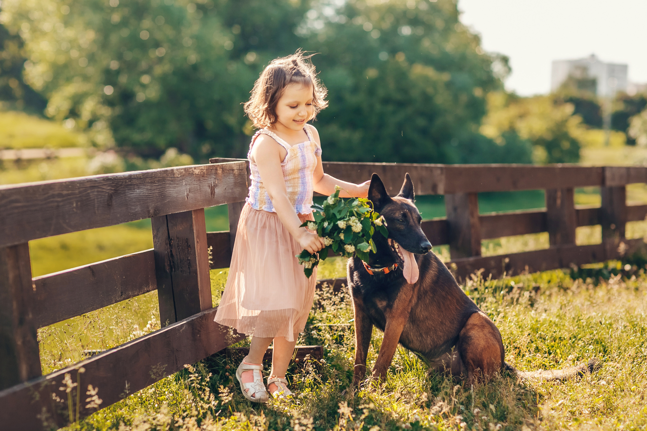 Елена, Андрей, Маша, Настя, Даша, Кирюша и Карди. Детский и семейный фотограф в Москве Анна Ипатьева