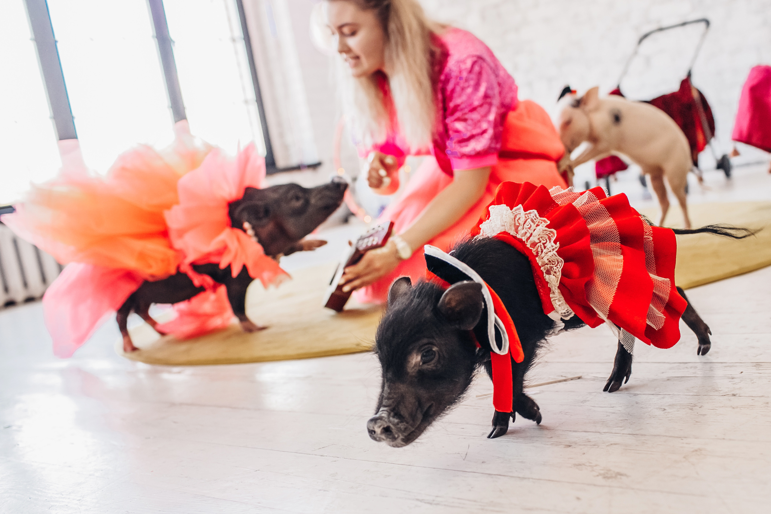 Лизе 4 года. Детский и семейный фотограф в Москве Анна Ипатьева