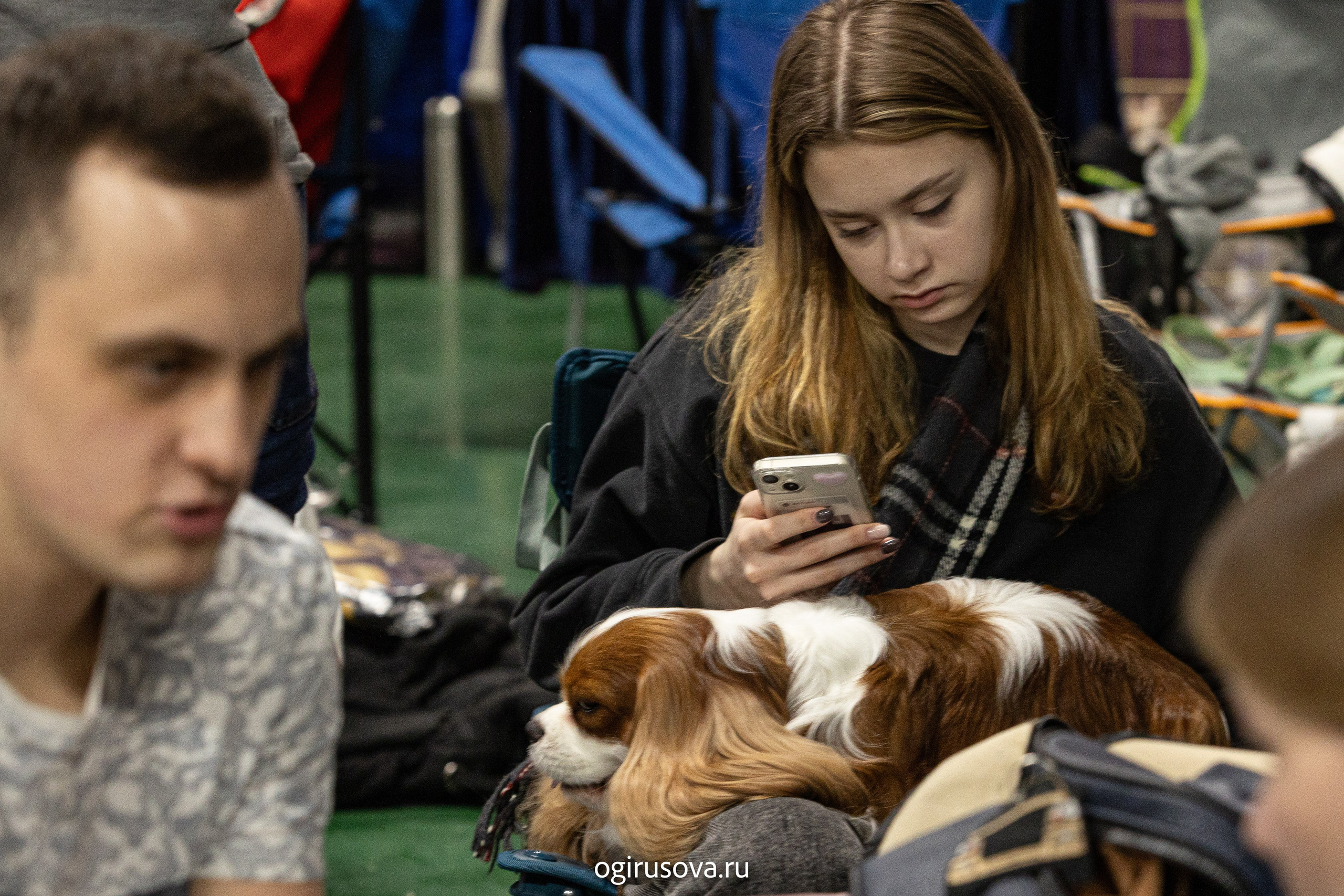 РОО КЛЖ «Олимп"+"Империя"+"Виктория».Выставка собак. Фотограф Ольга Гирусова «Пантерочка» Москва