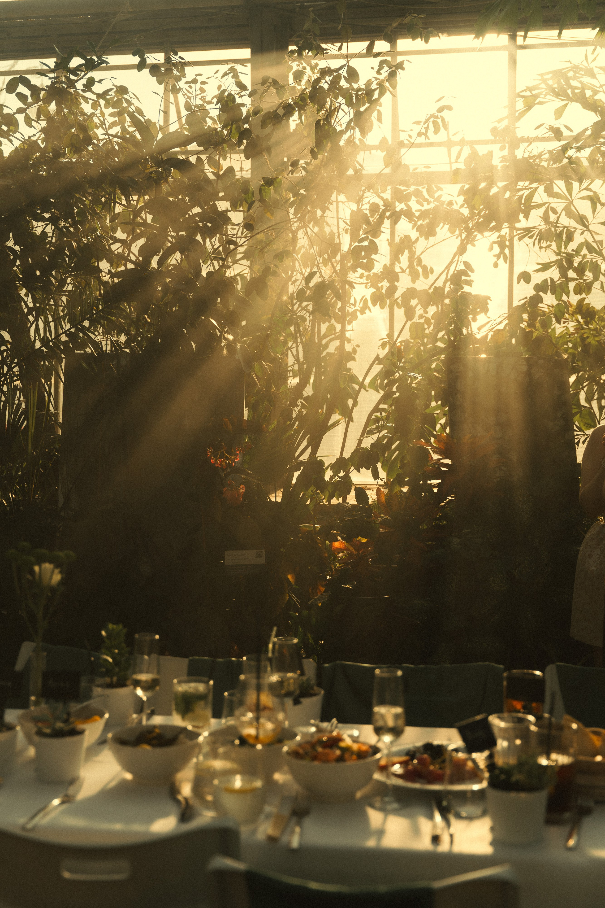 Свадьба Веры и Романа