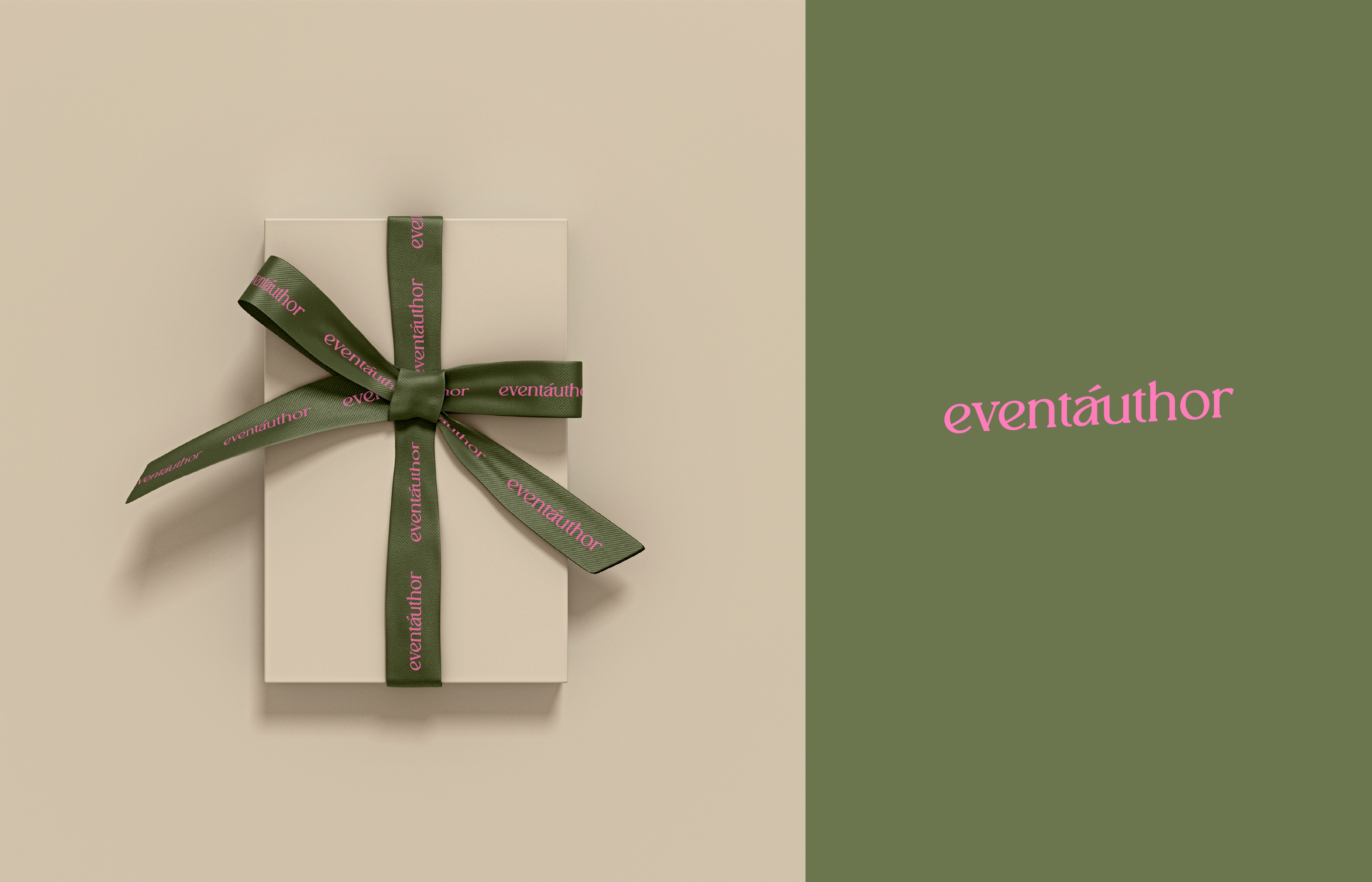 Презентация варианта упаковки