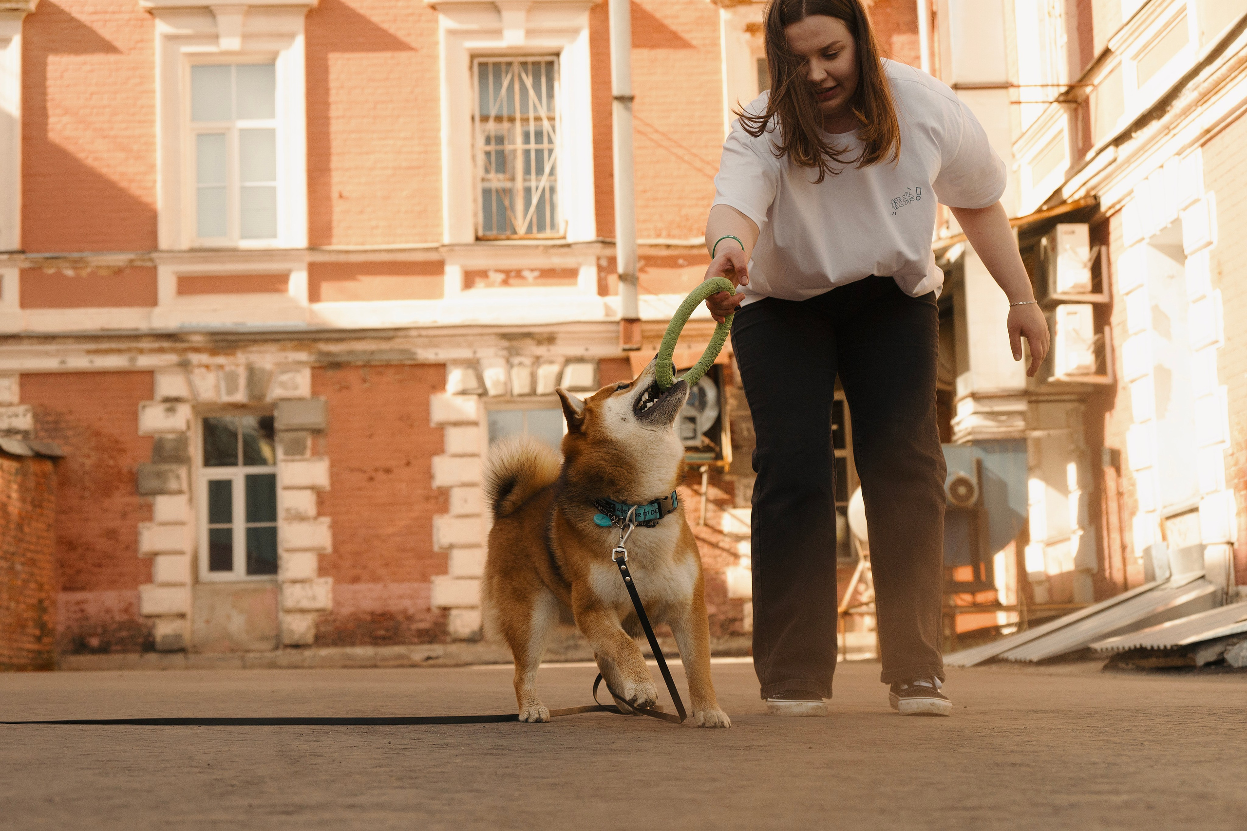Юнки. Фотограф- анималист Александра Матвеева