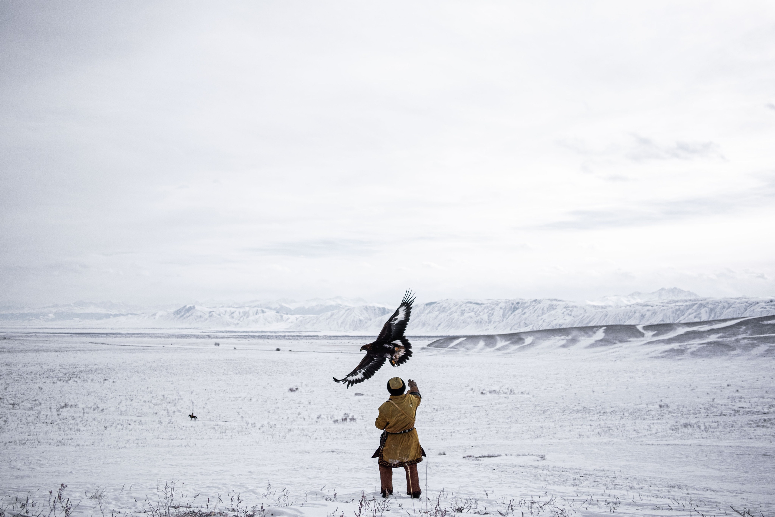 Репортажный и портетный фотограф в Краснодарском крае Николай Хижняк