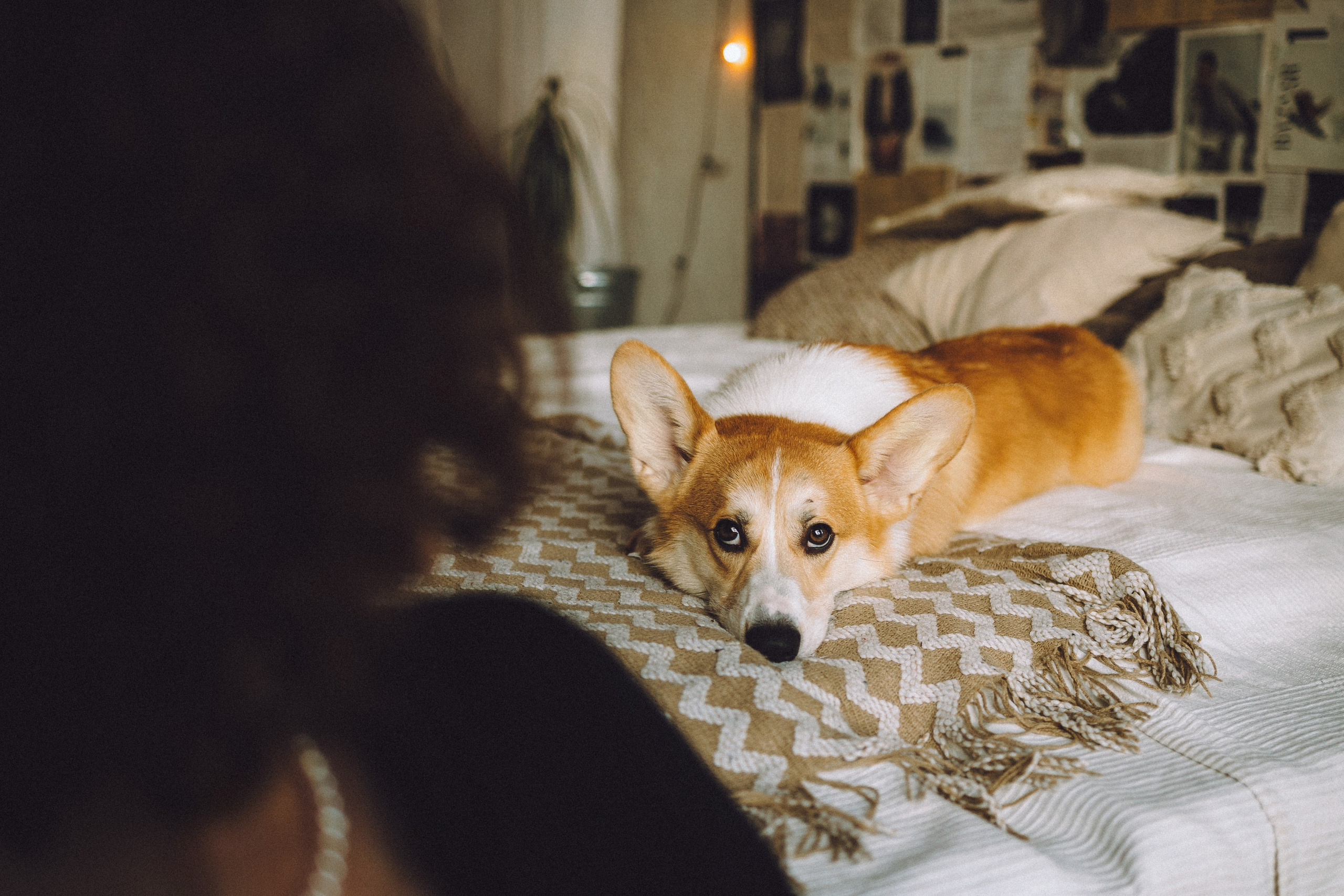 Наталья, Евгений и Мерлин