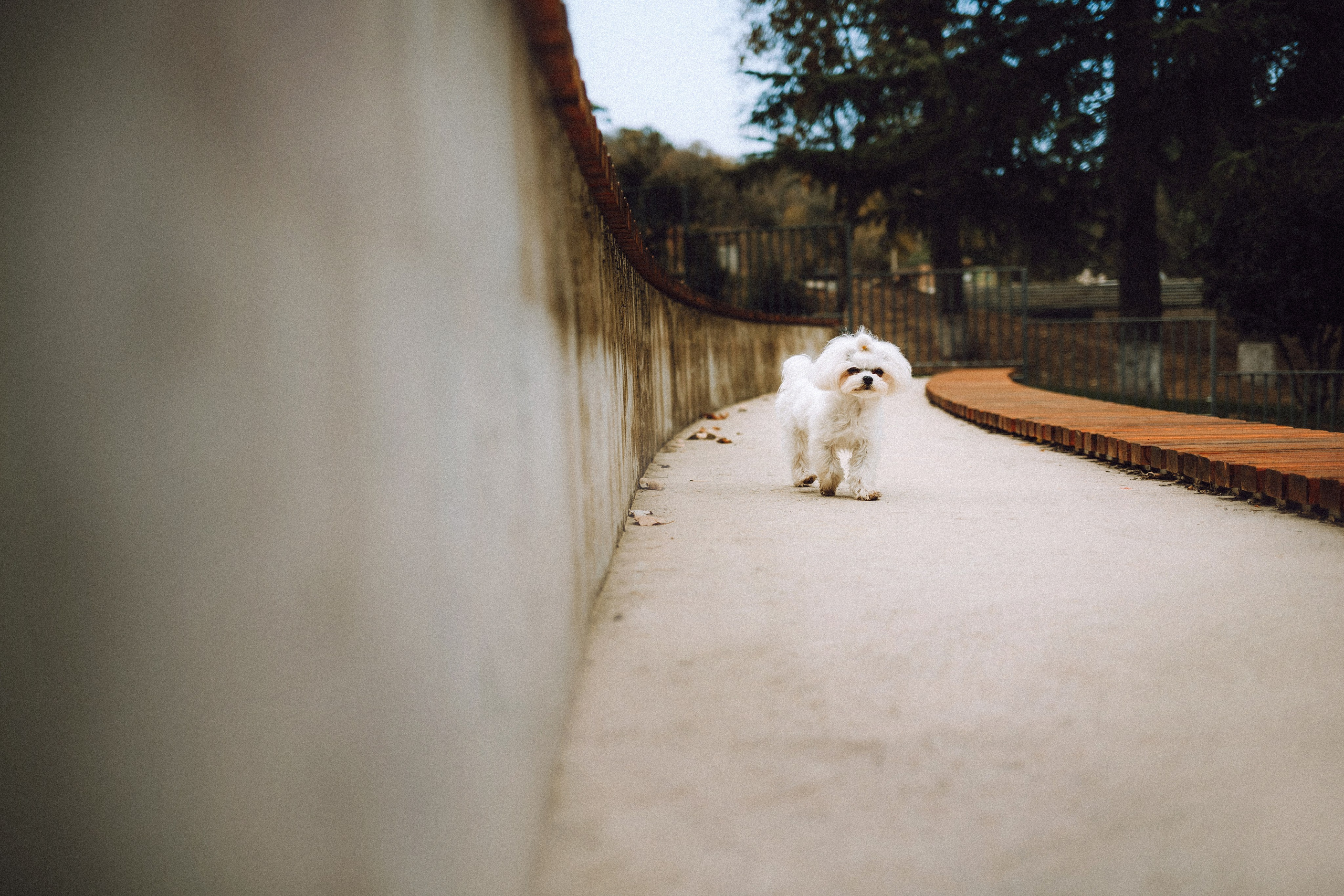 Настя и Гоша