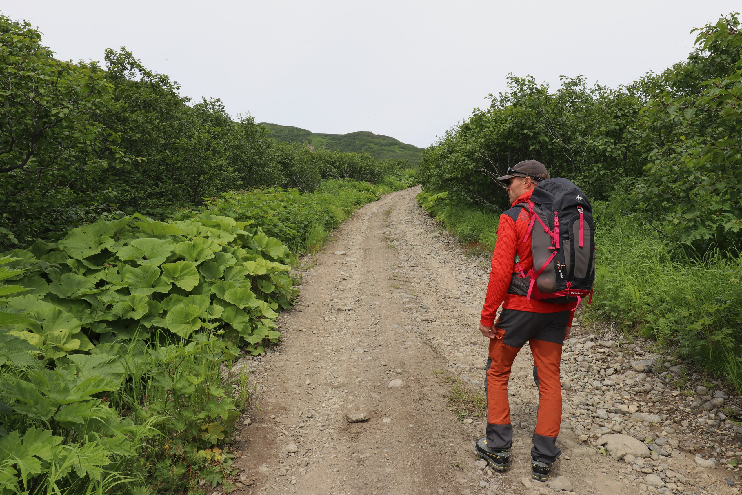 Камчатка и о. Парамушир. Июль 2024. Путешественник-фотограф из Санкт-Петербурга Татьяна Свистулина