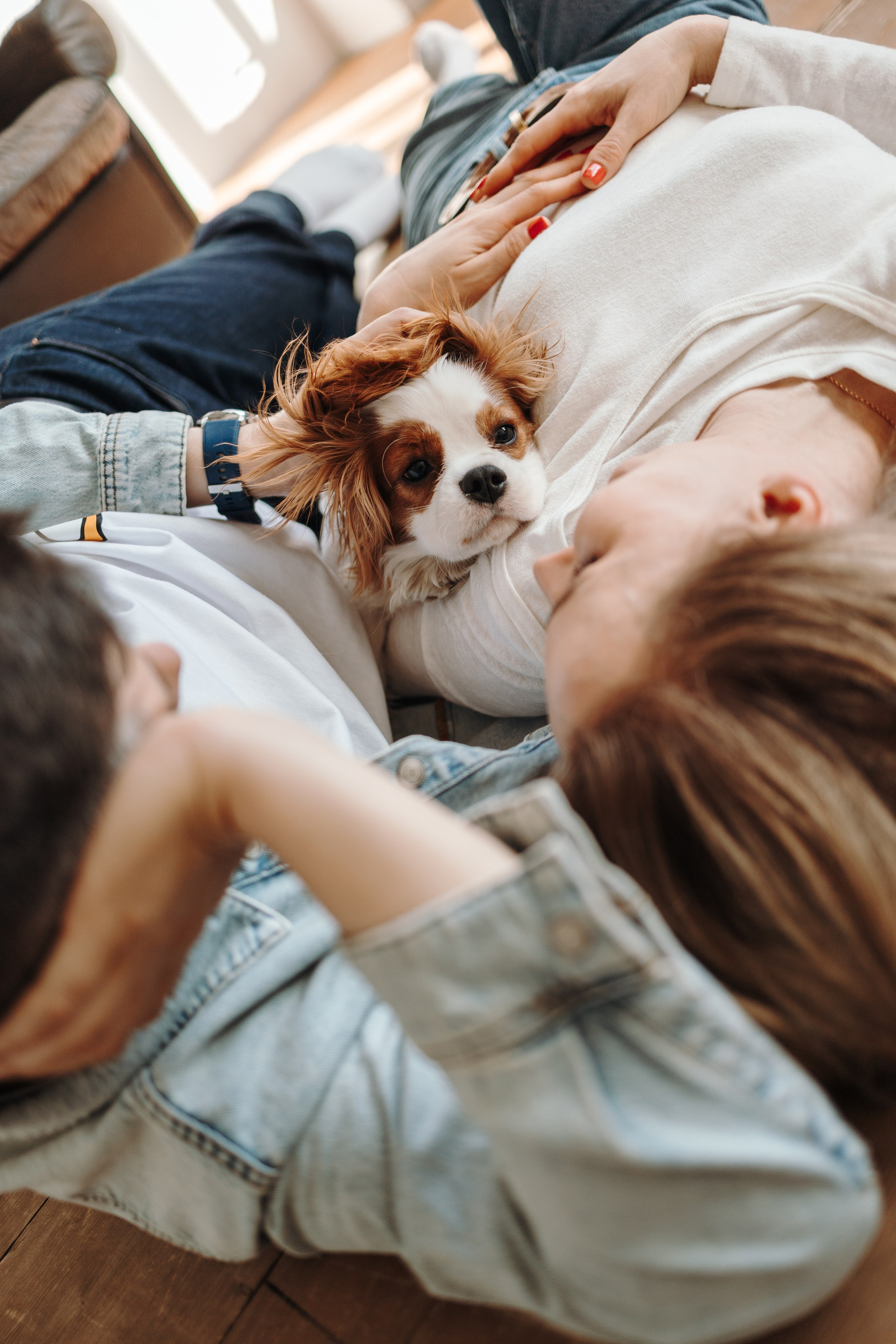 Плуто и его семья. Фотограф — Анималист | Санкт-Петербург