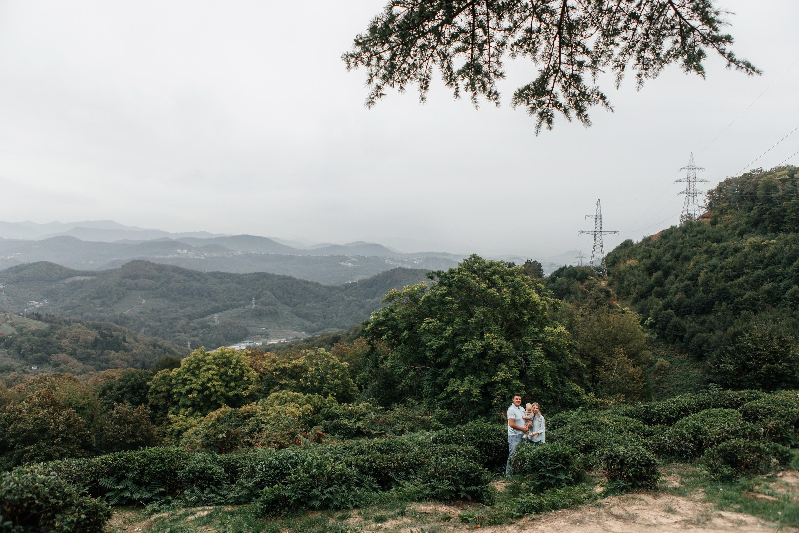 Семейная фотосессия на чайной плантации. Фотограф в Москве Дмитрий Жарков