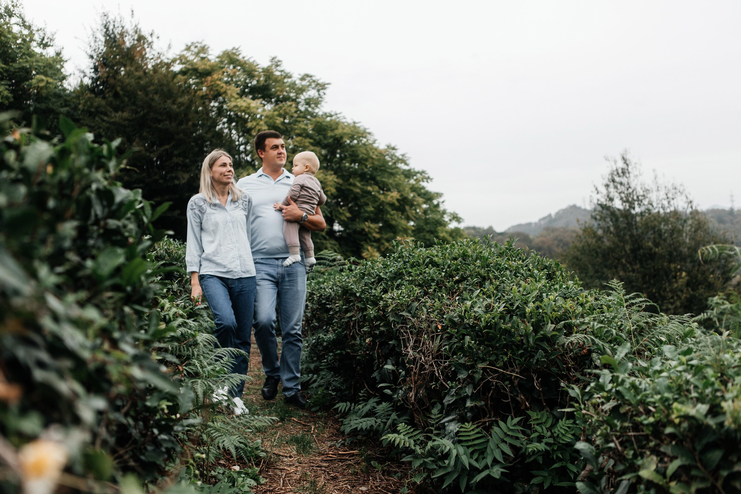 Семейная фотосессия на чайной плантации. Фотограф в Москве Дмитрий Жарков