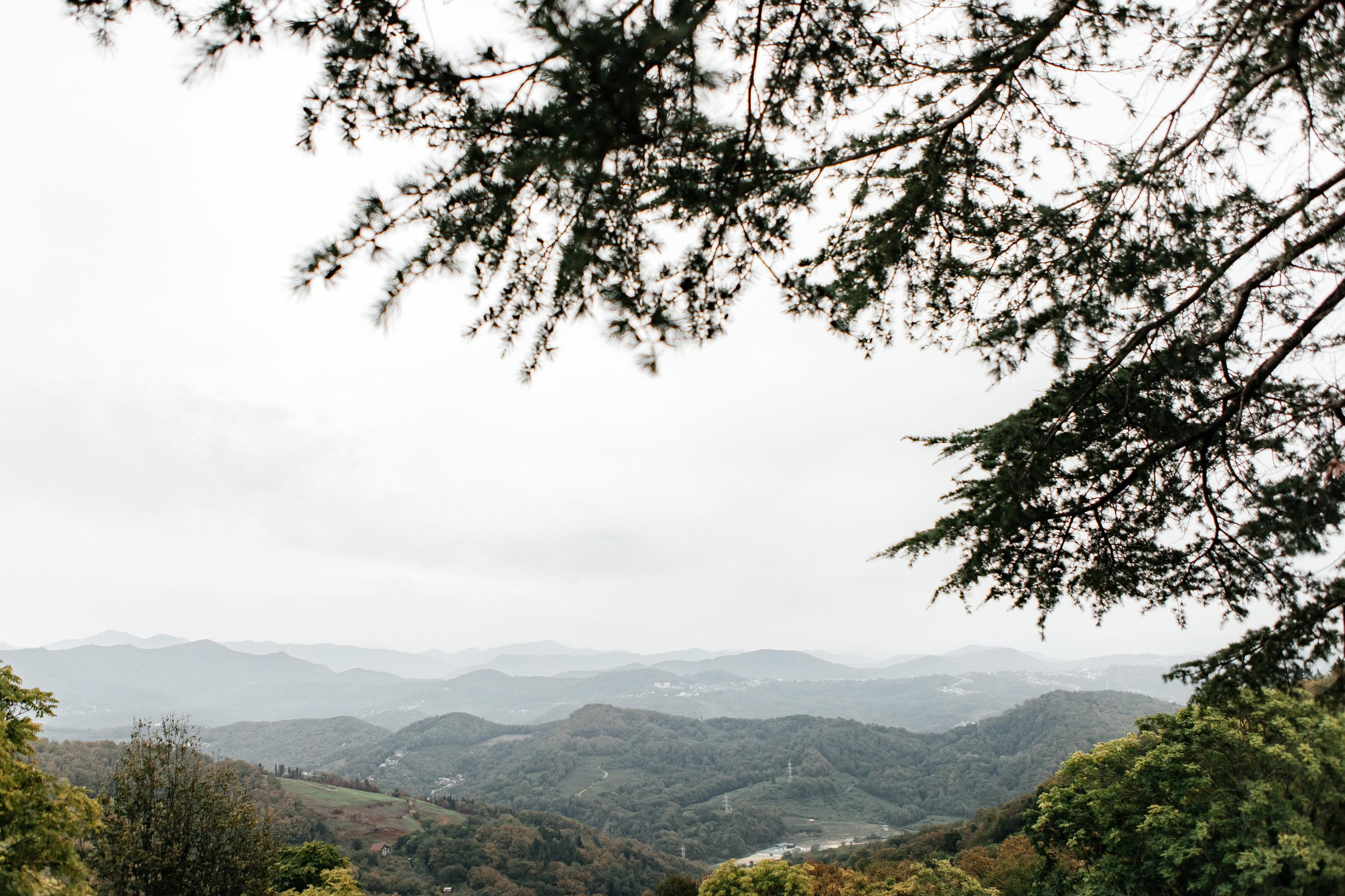 Семейная фотосессия на чайной плантации. Фотограф в Москве Дмитрий Жарков